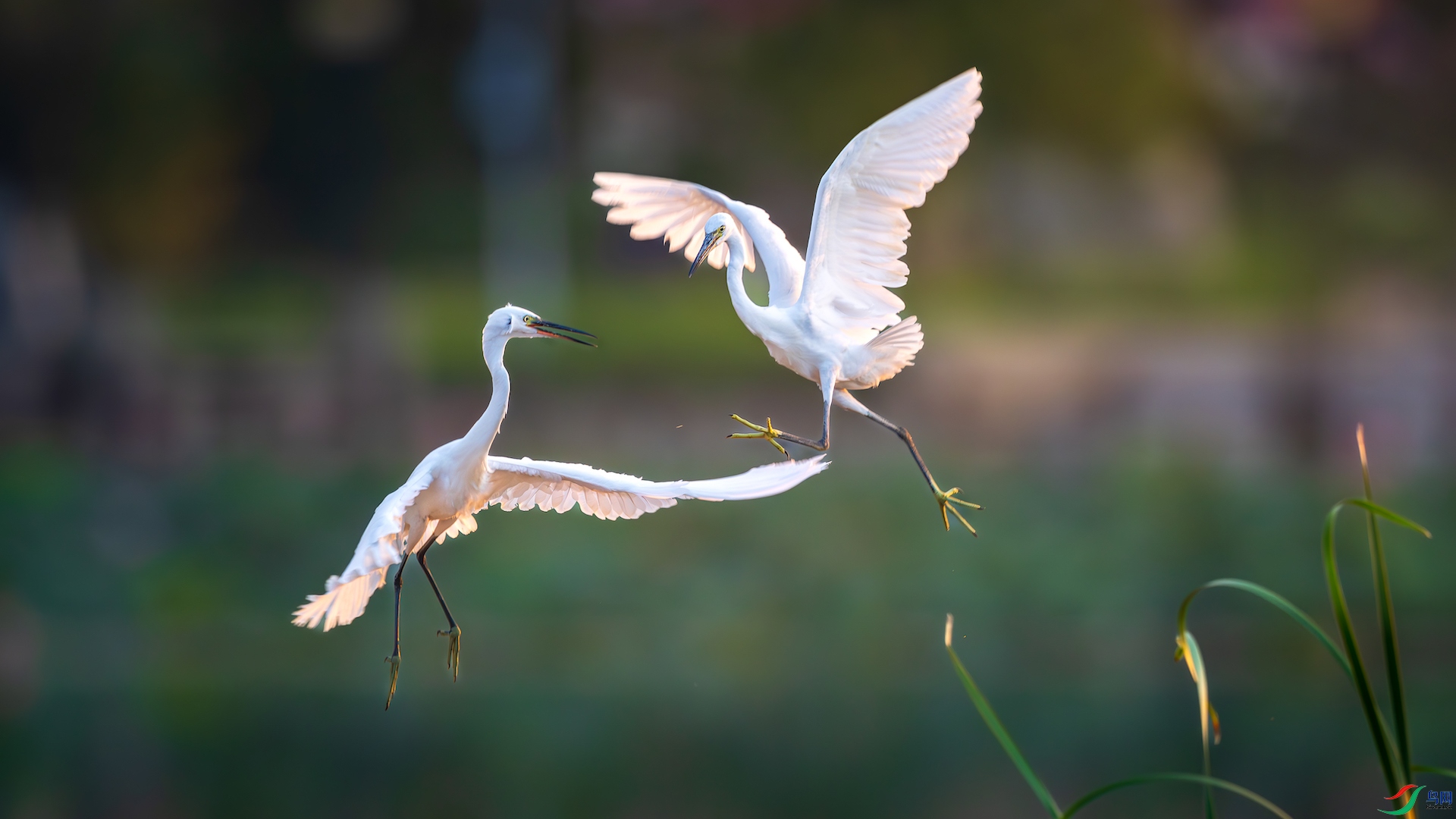 DSC_4570-����ǿ-NR-1-1 2.jpeg