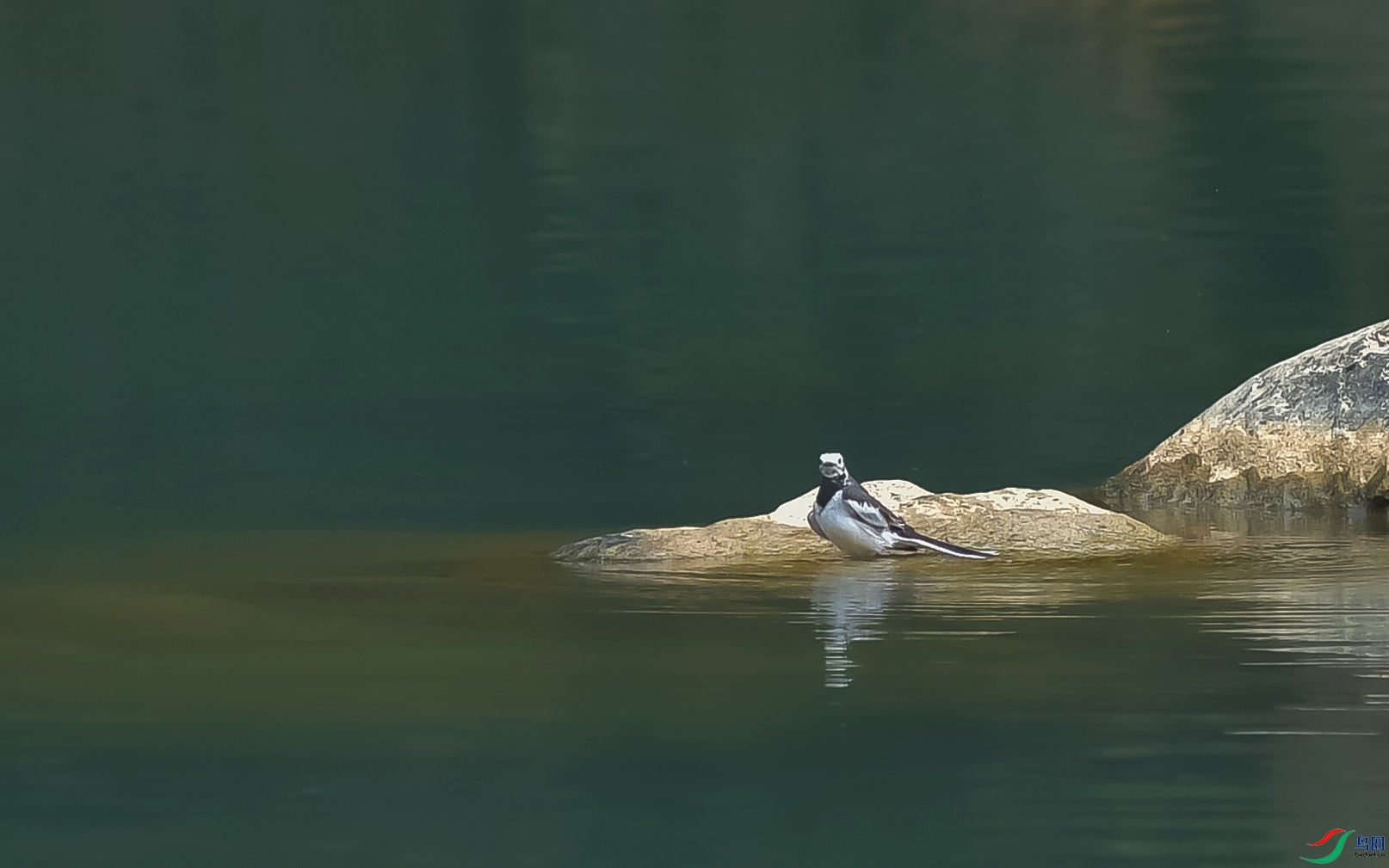 DSC_5350.JPG