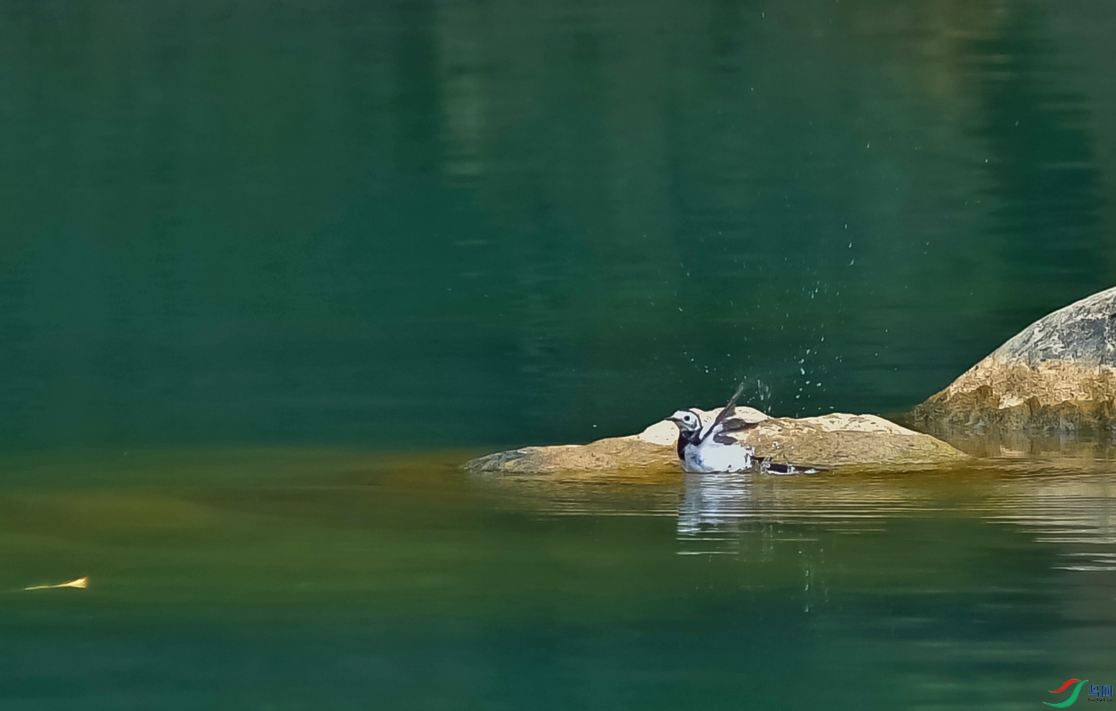 DSC_5352.JPG