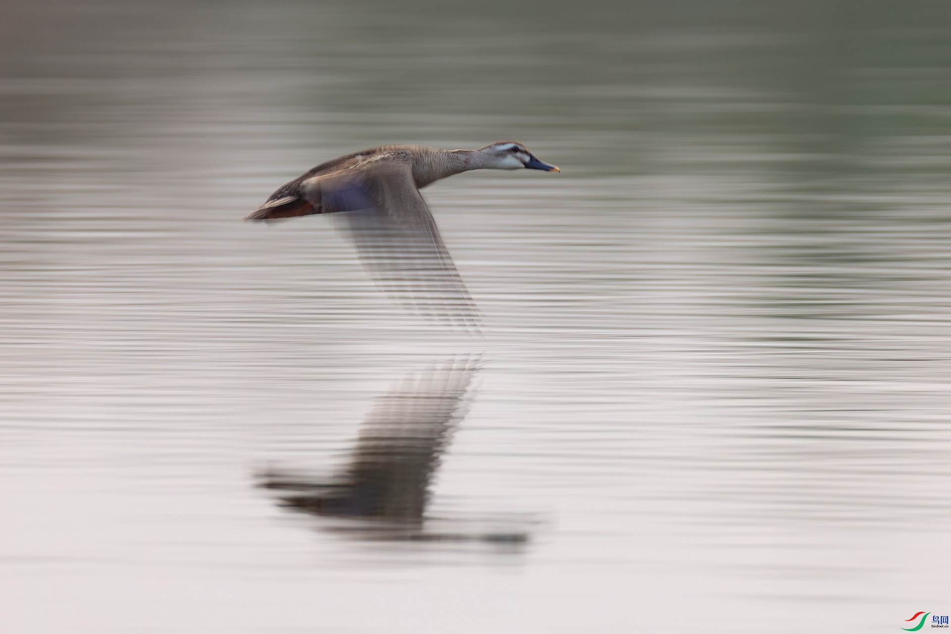 _H6A7309���� .jpg