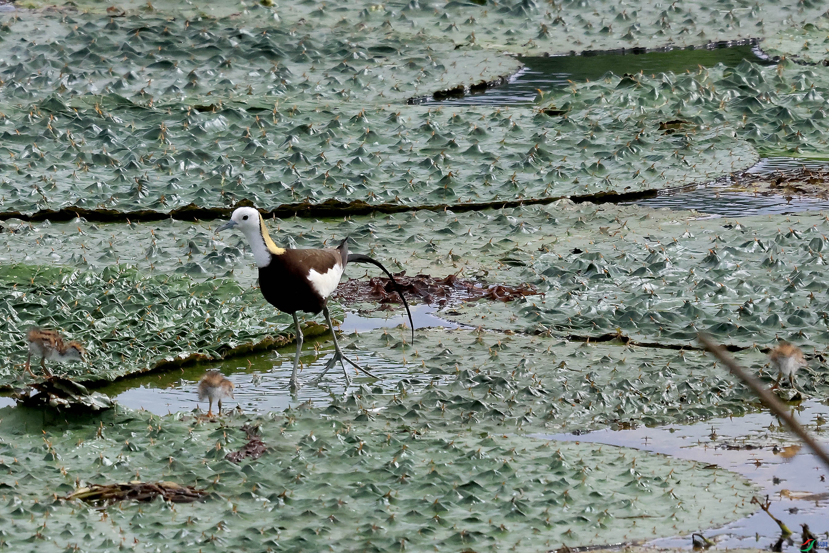 2G9A8644.JPG