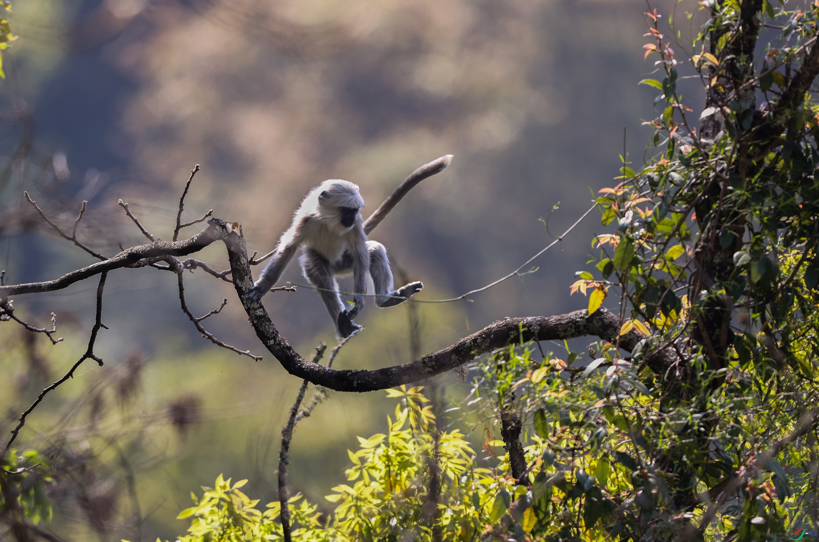 A15I9694 ����.jpg