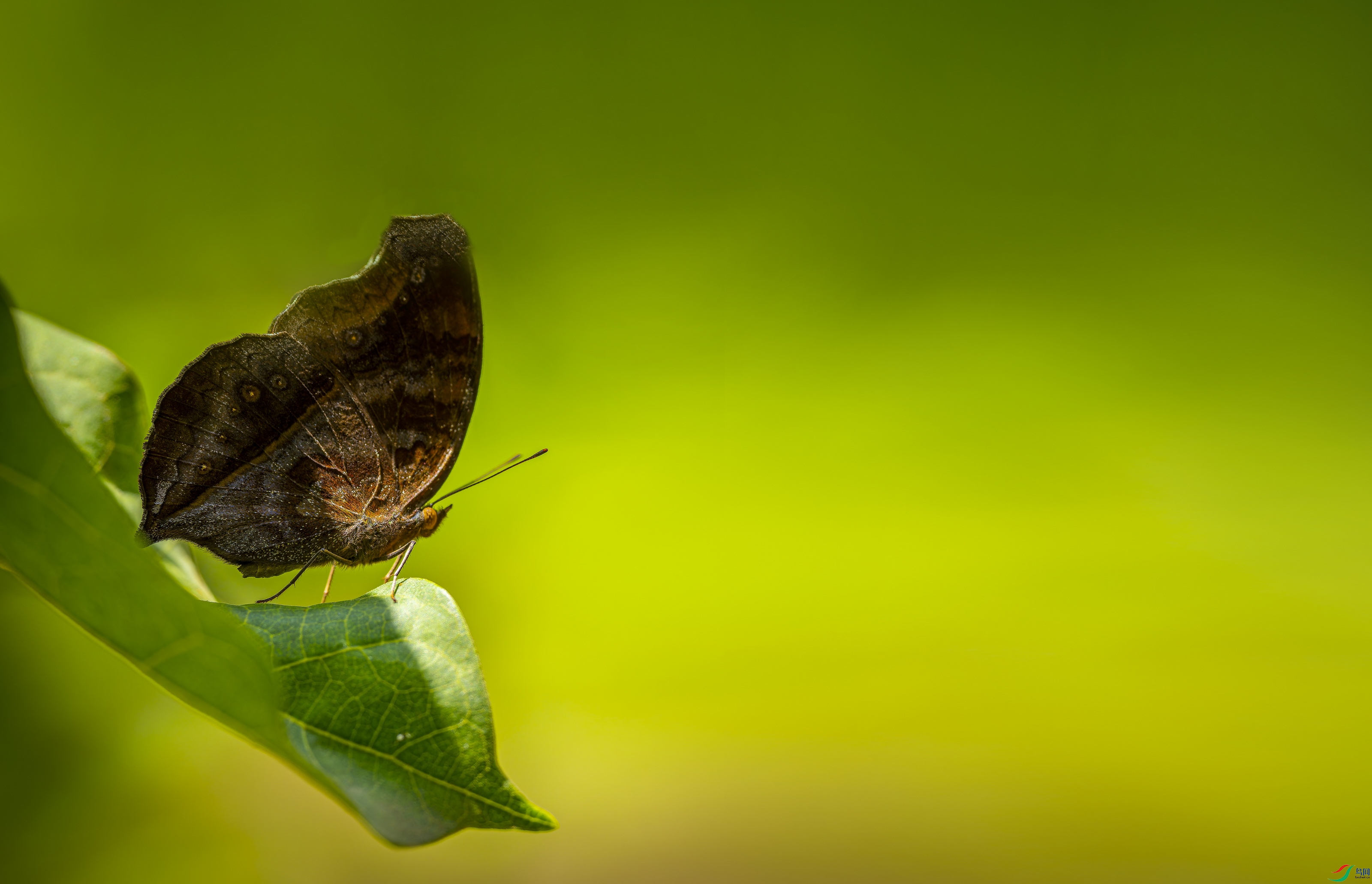 �������̵� (30)-01.jpg