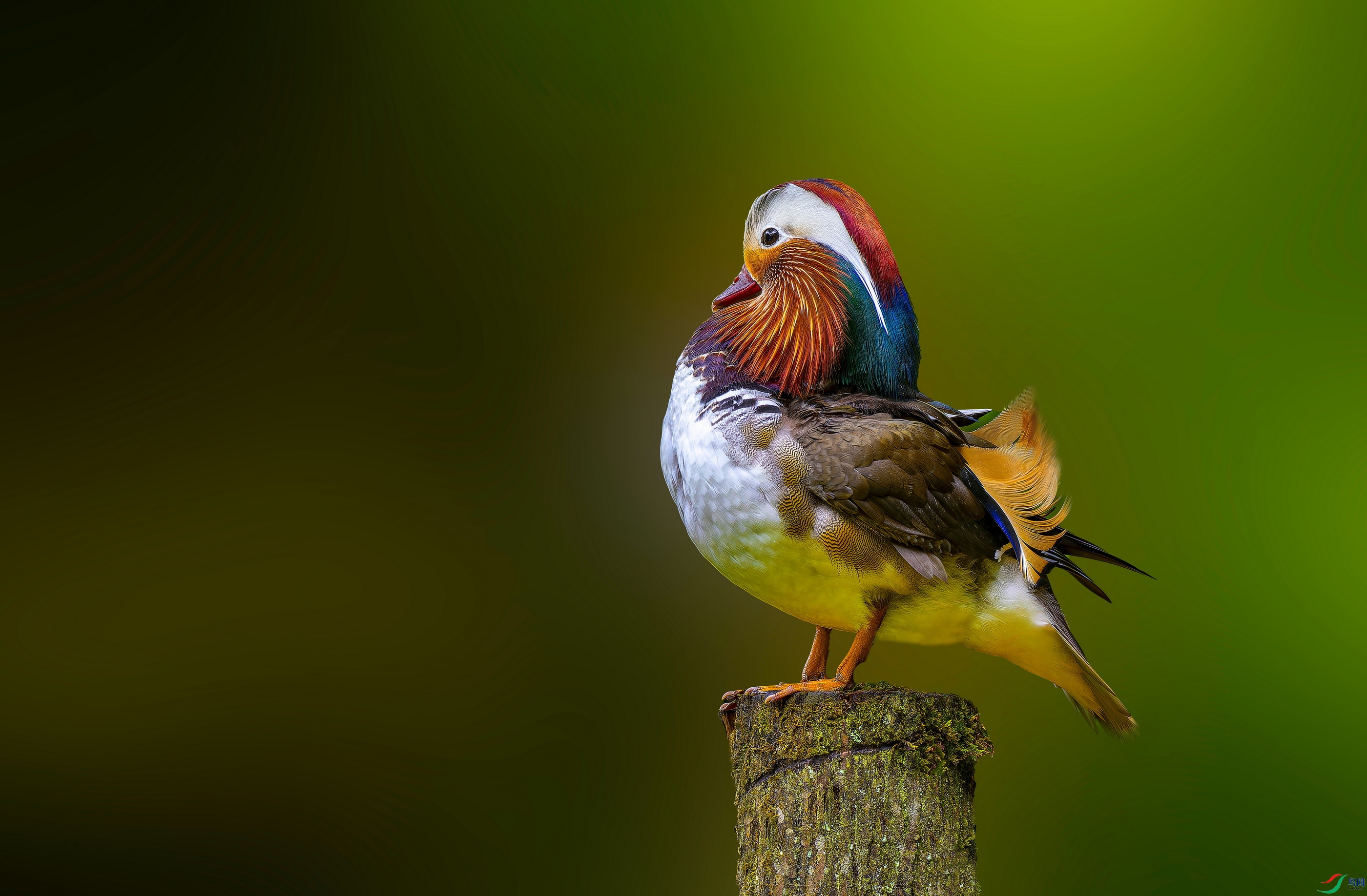 ԧ�� (1411)-02.jpg