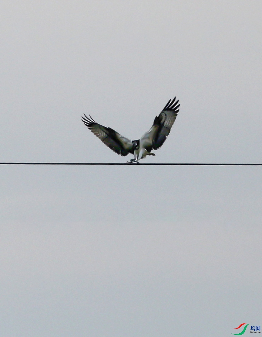 673A9979 ����.jpg