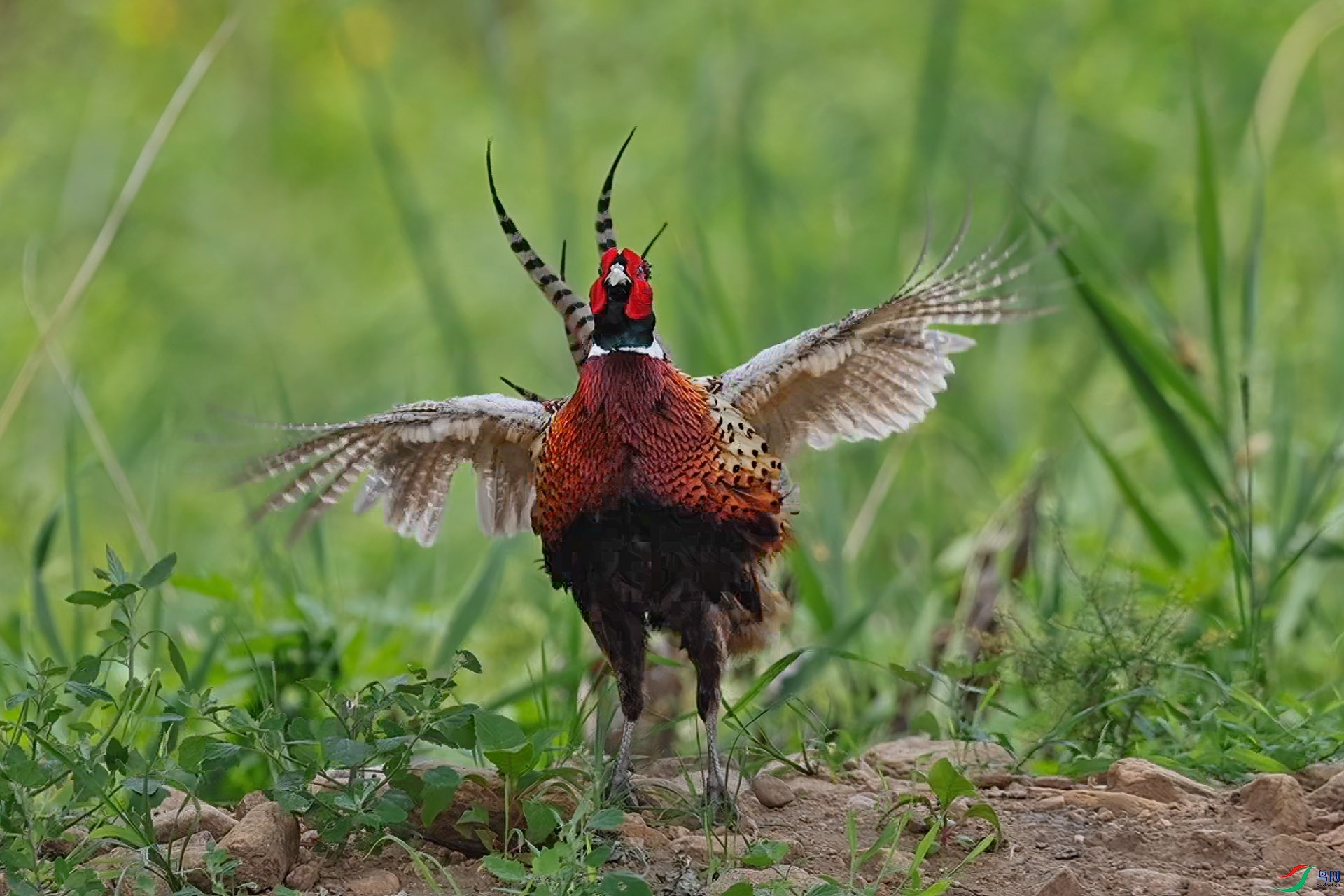 7��27�� (4)-1.jpg