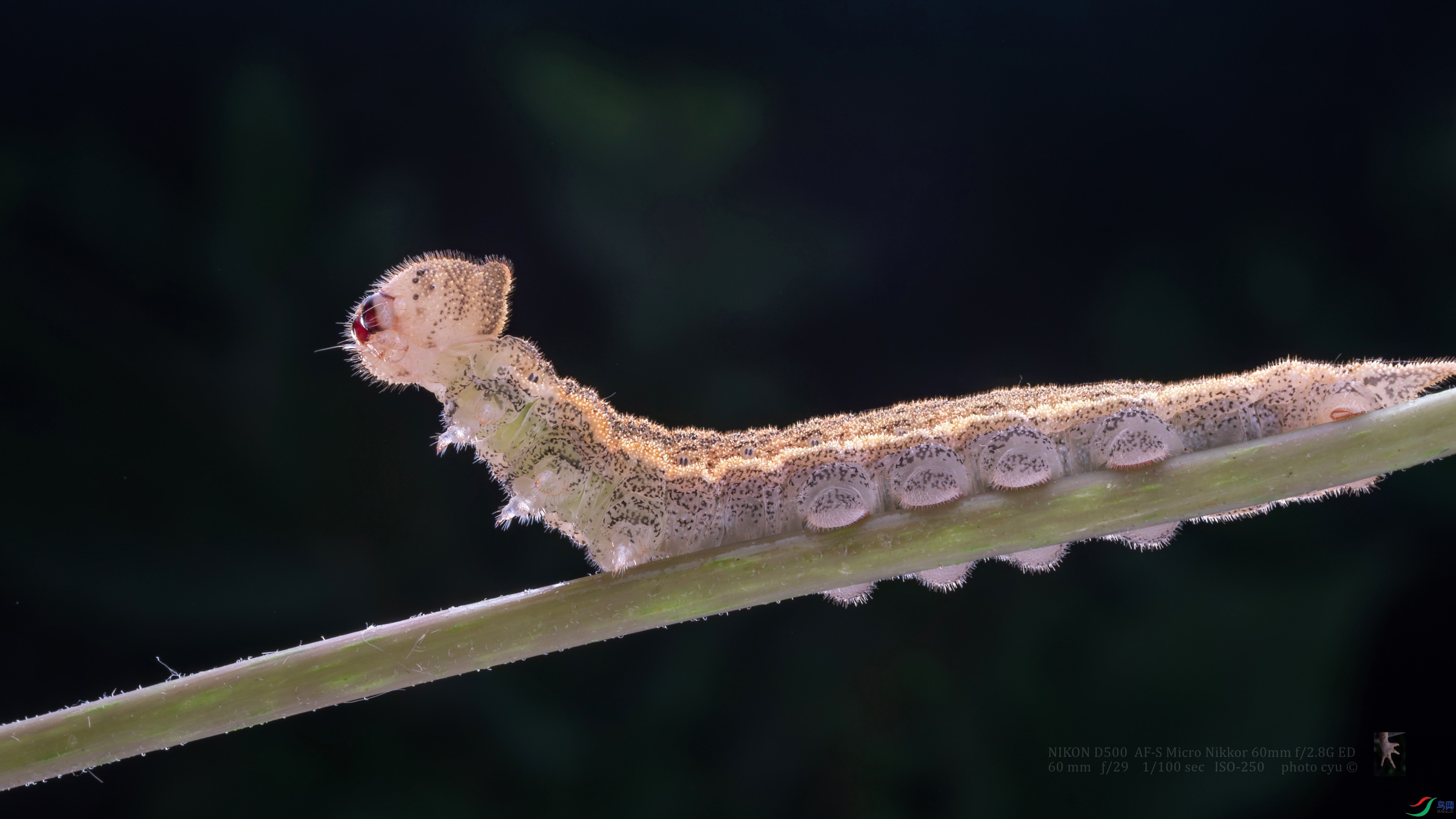 DSC_4746.jpg