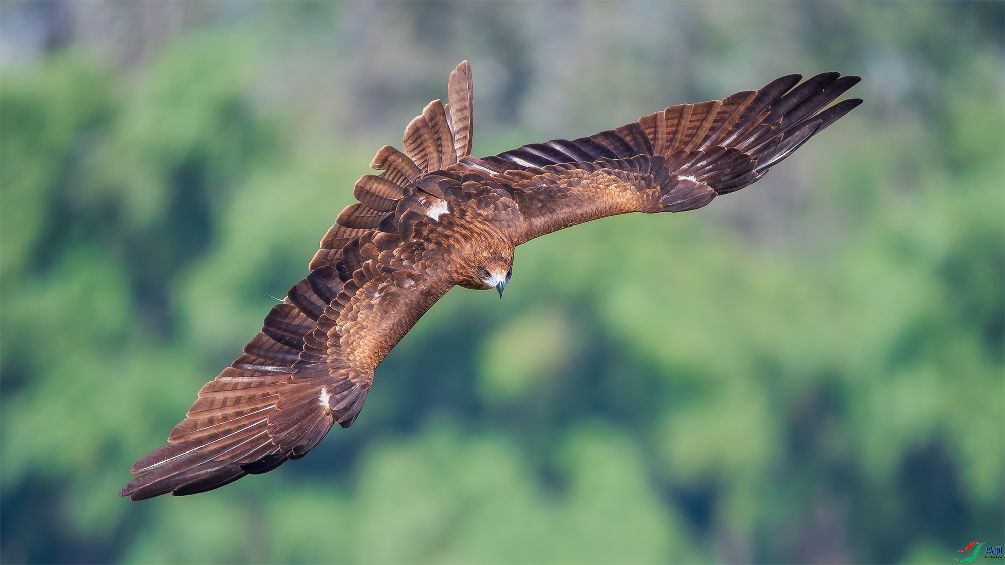 HCP04622-1.jpg