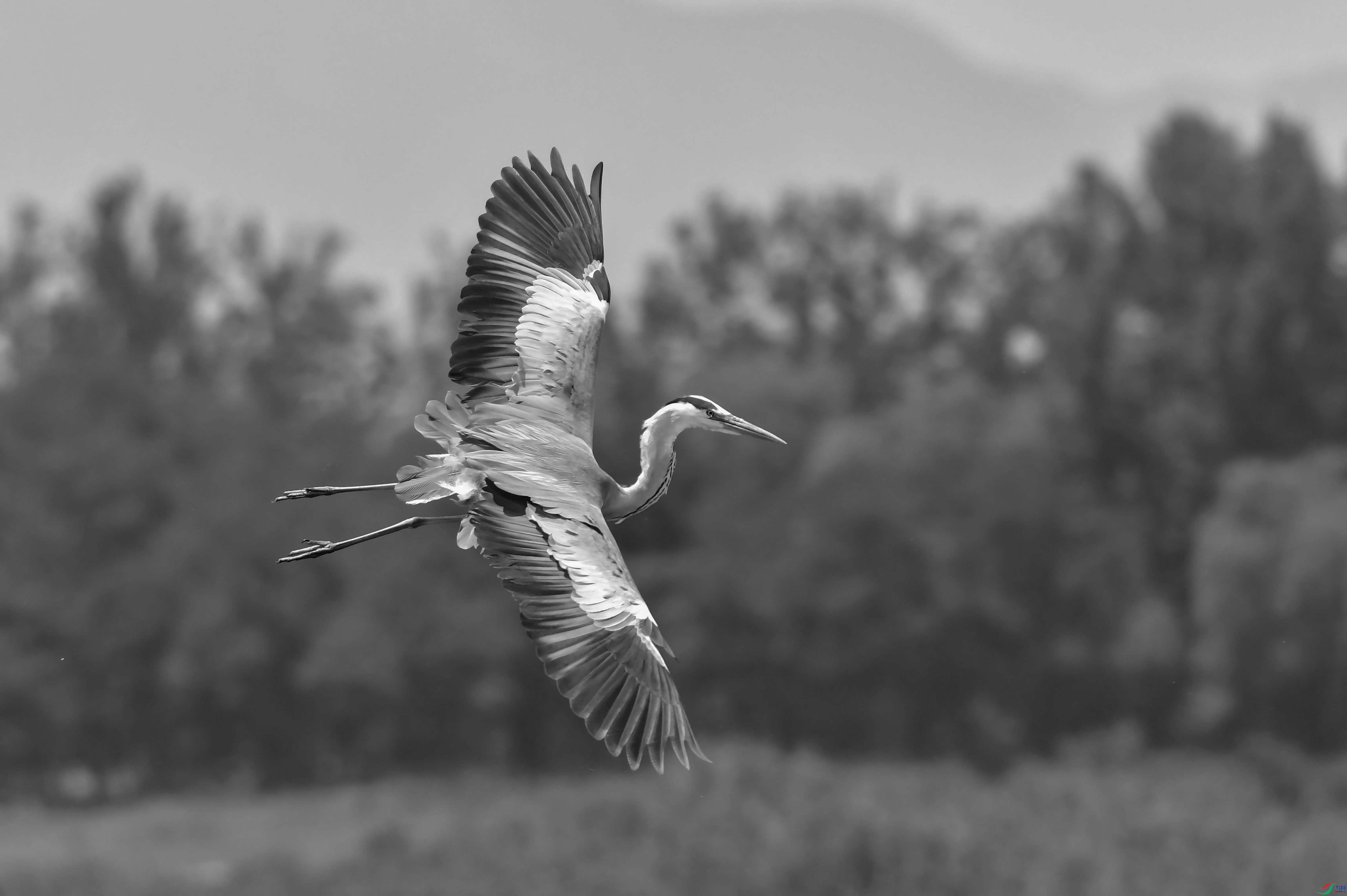 DSC_5855-.jpg