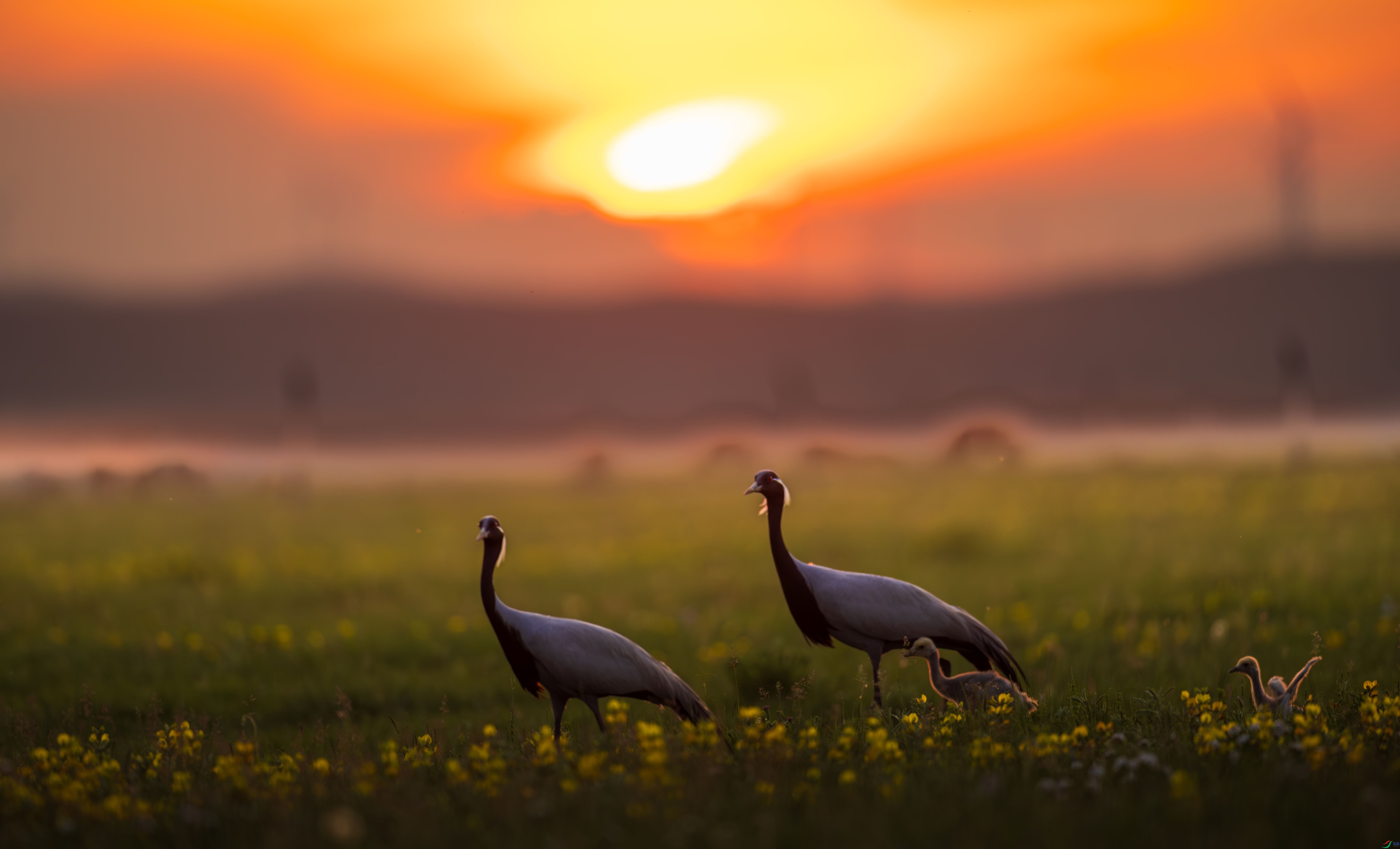 0V9A7537-����ǿ-NR.jpg