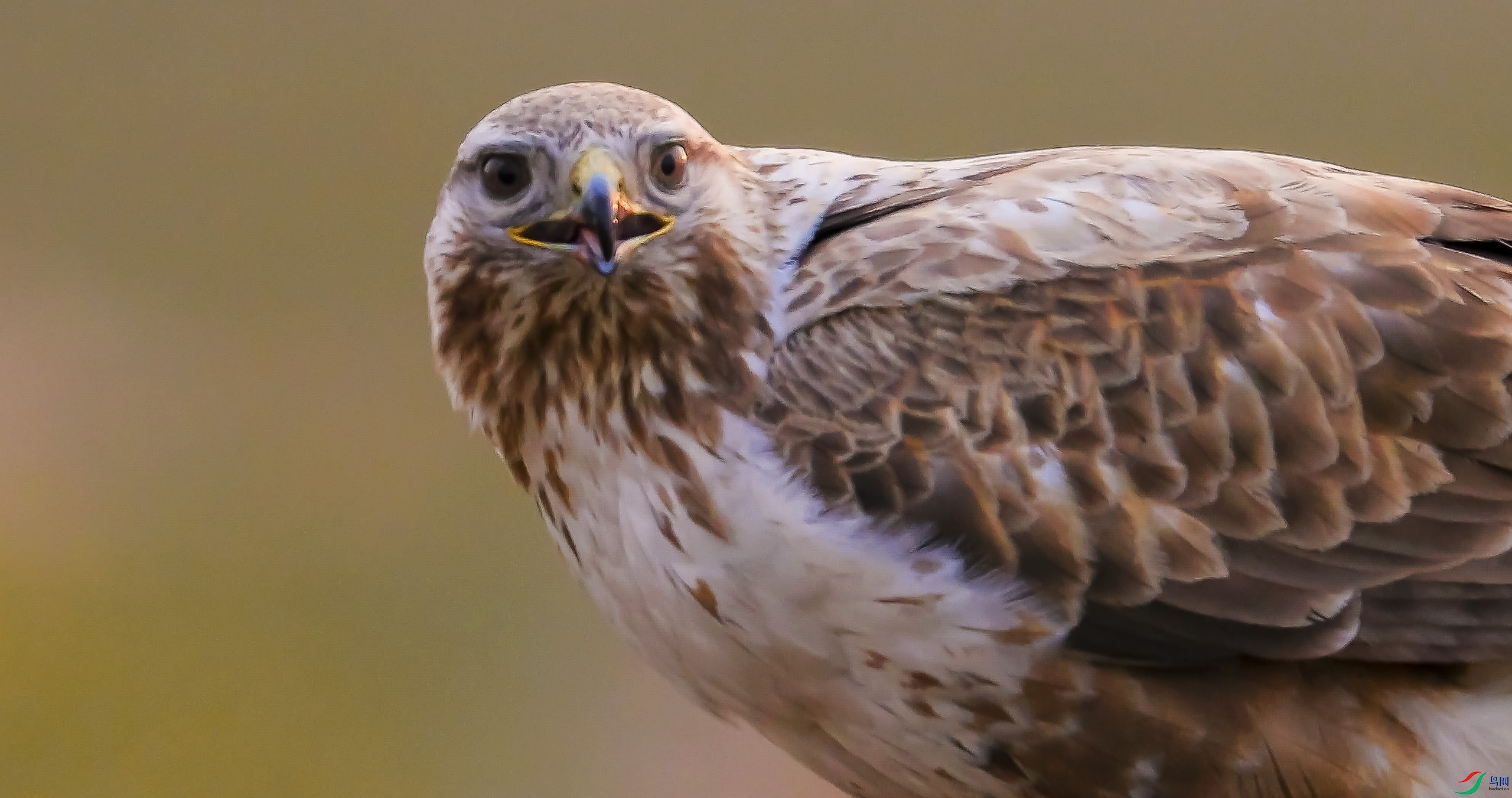 7��29�� -.jpg