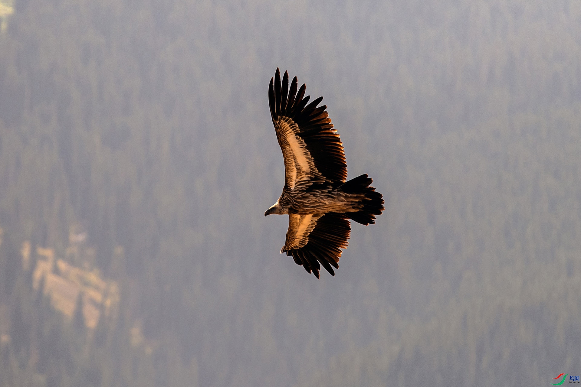 _AUU0821�߶�أ��(24.9.22).jpg