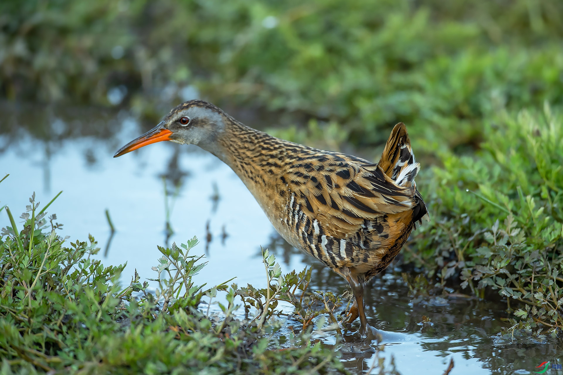 DSC_6151.jpg