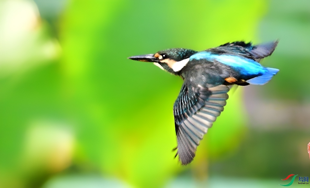 DSC_6512.JPG