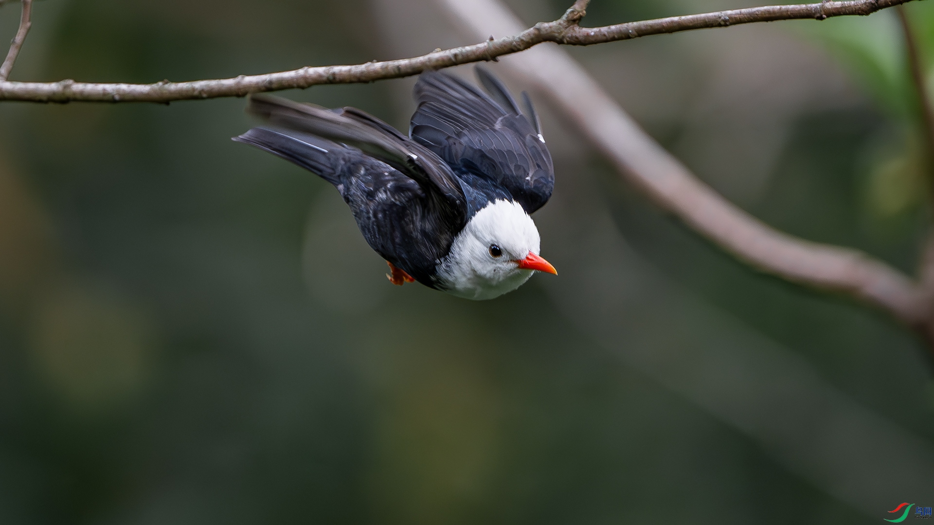 DSC_4881.jpg