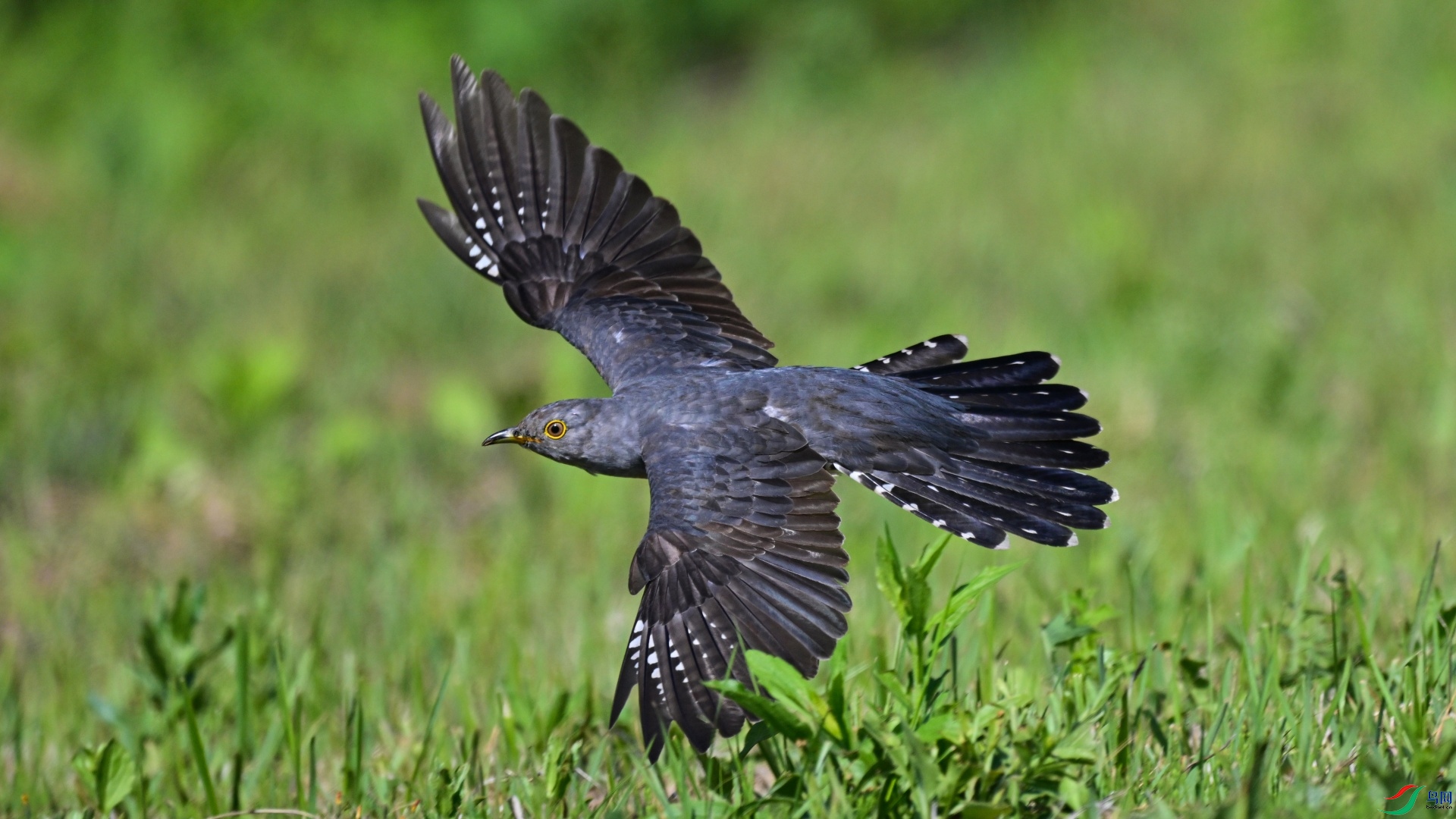 ��ž� (529)_��ͼ��.jpg