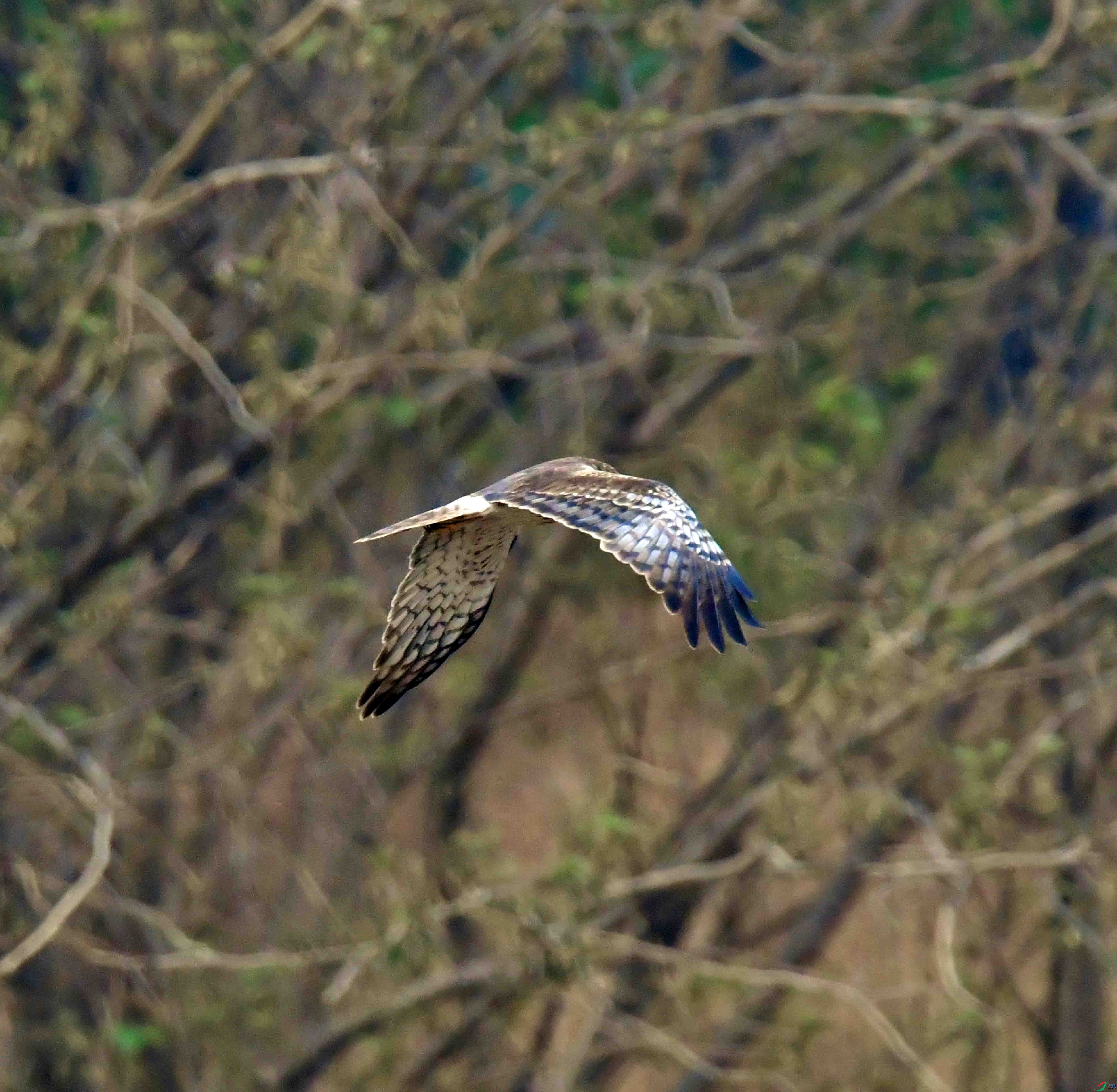 DSC_3567.JPG