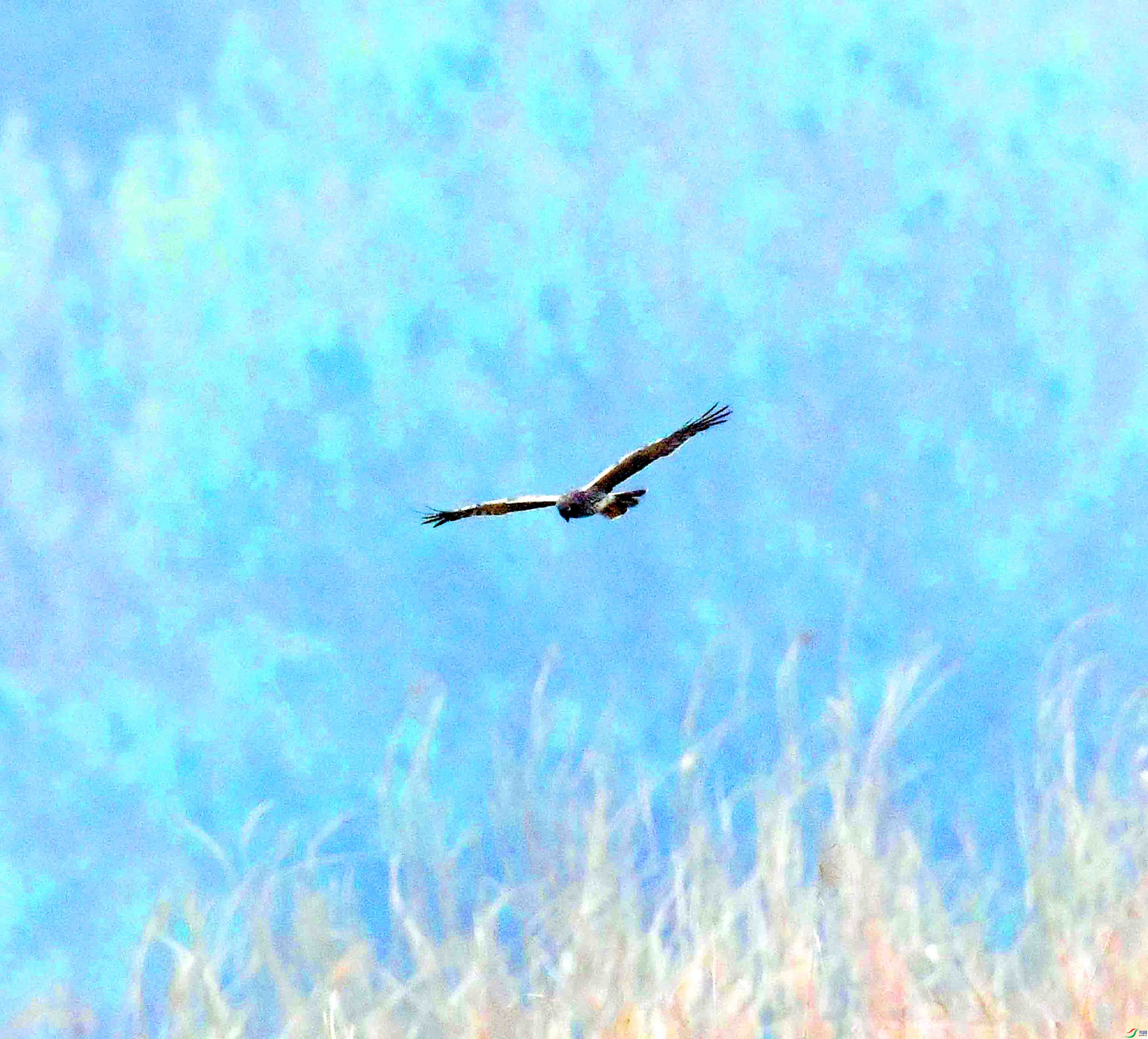 DSC_3579.JPG