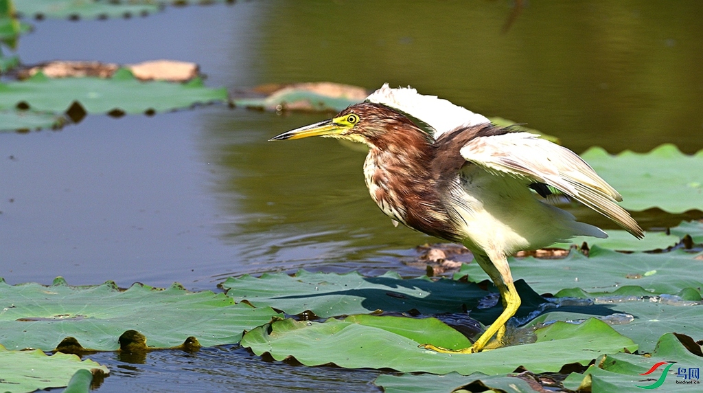 DSC_4370.JPG