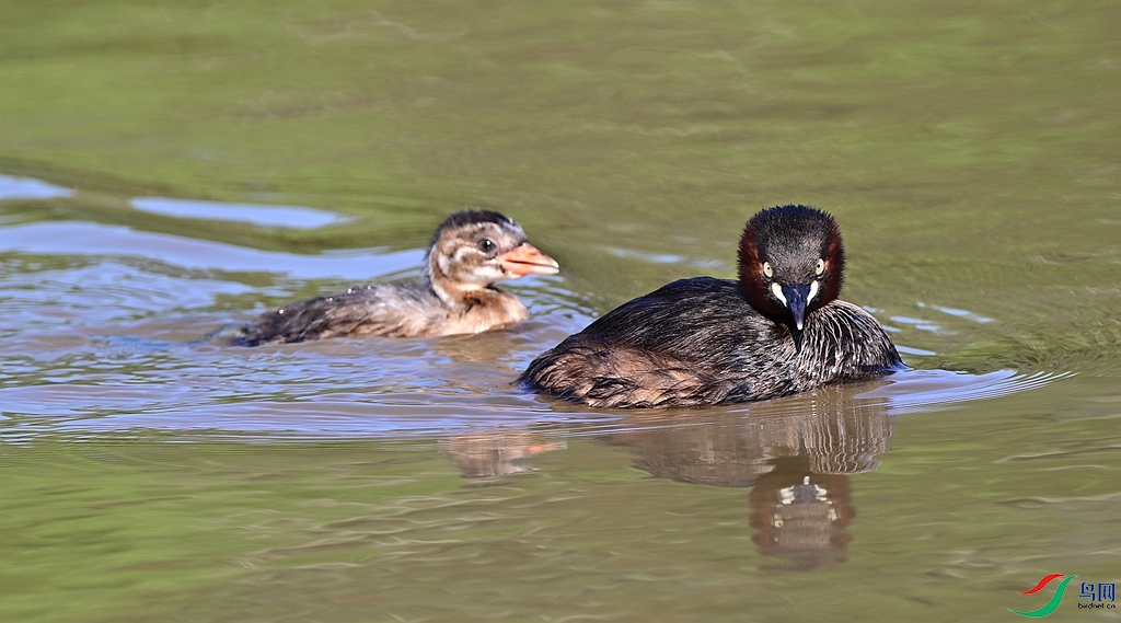 DSC_2902.JPG