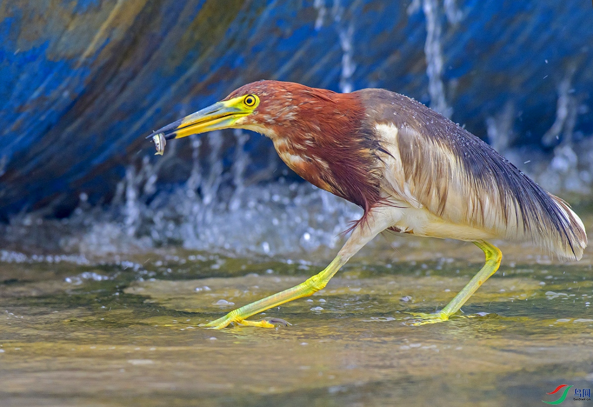 DSC_5543.jpg
