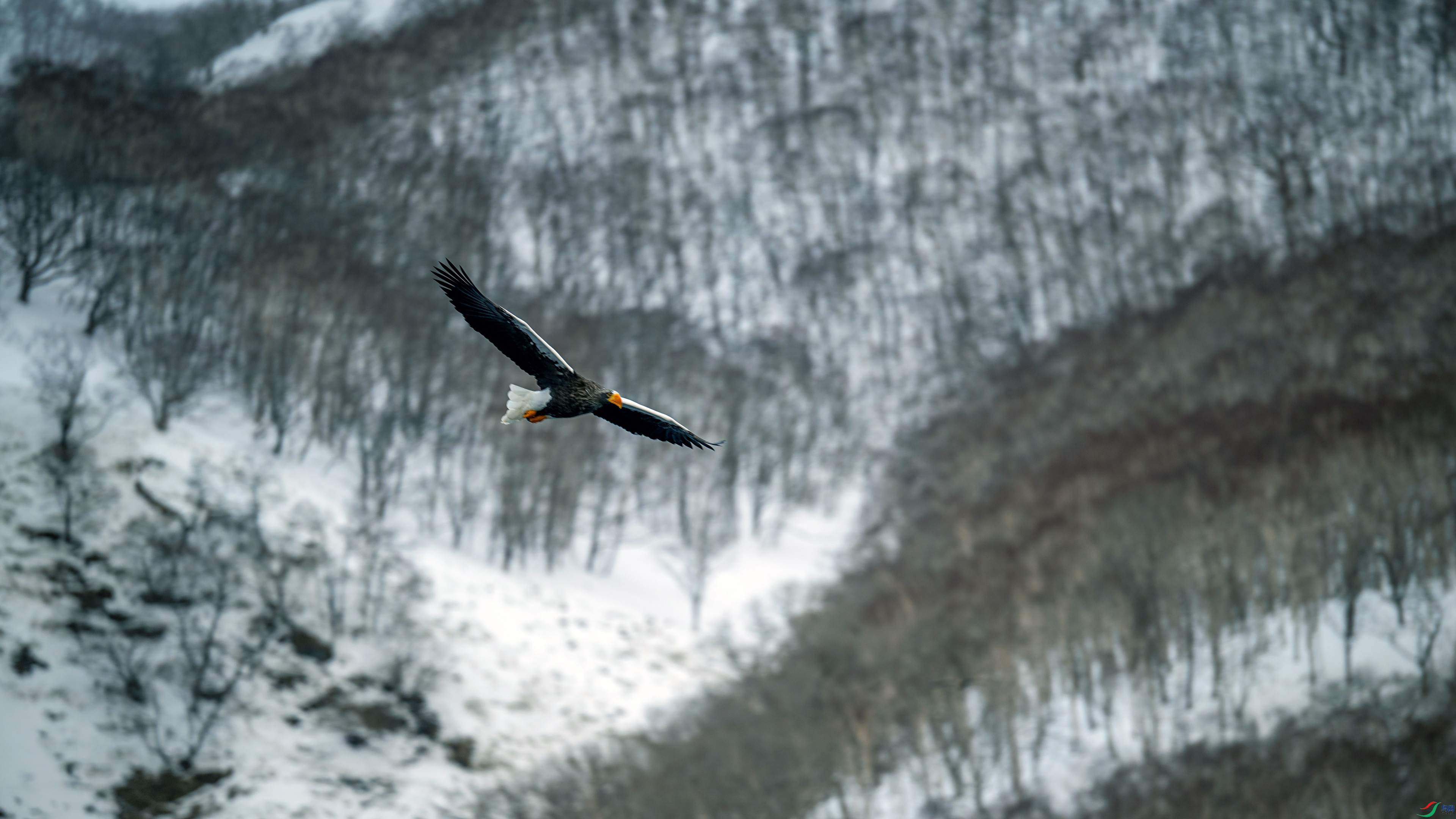 _DSC5806-1w.jpg