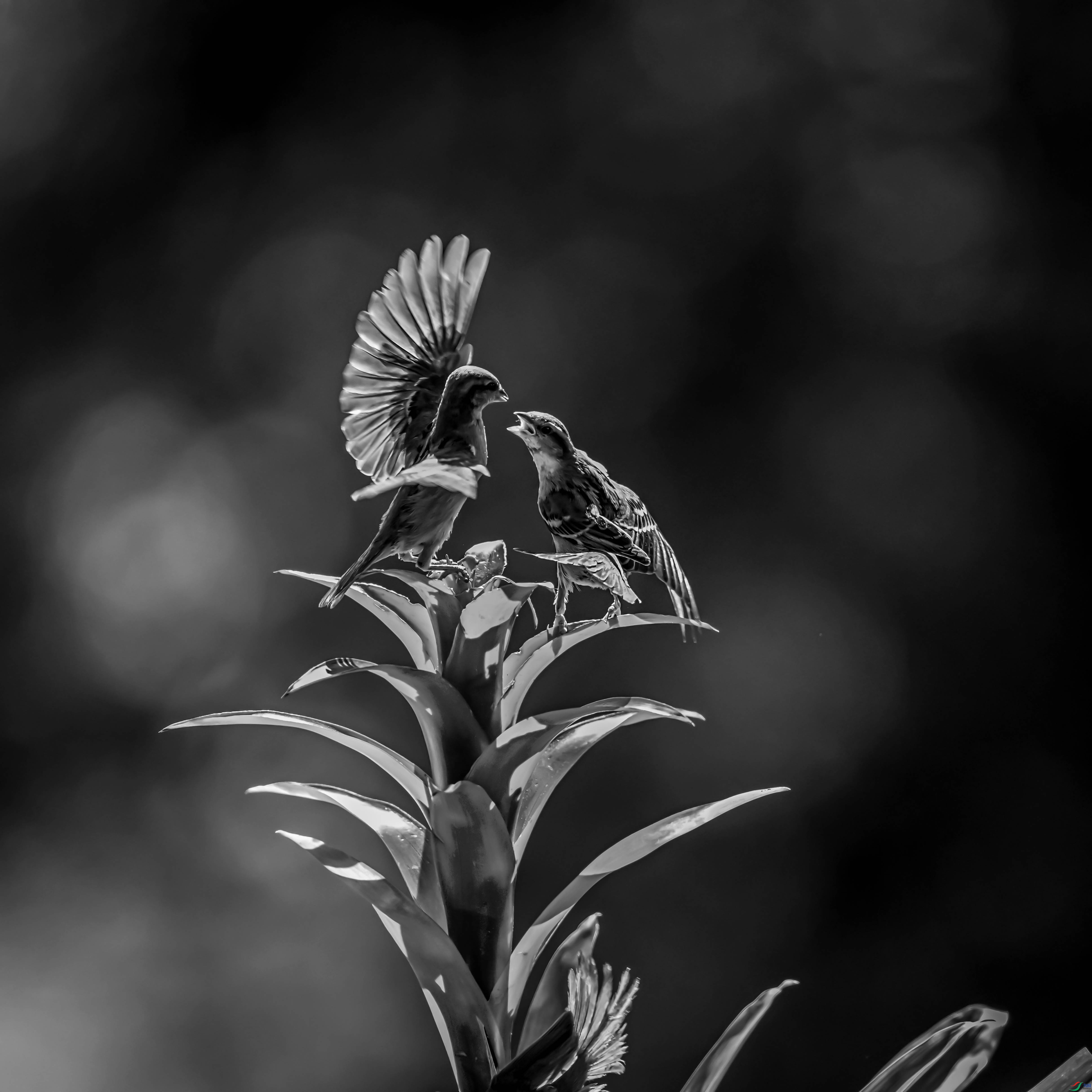 DSC_3107.jpg