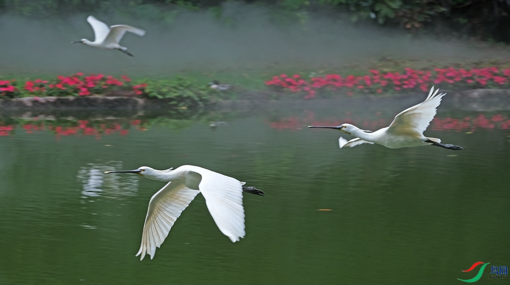DSCF2117.1.JPG