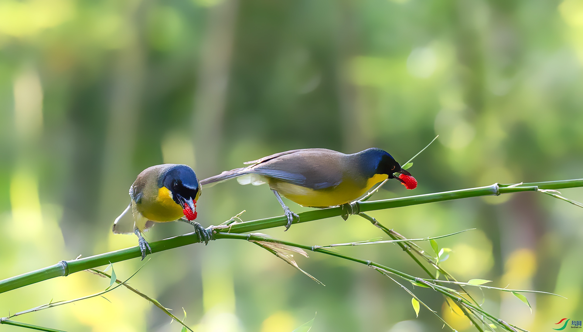 060A0725 ����-Sh----1 .jpg