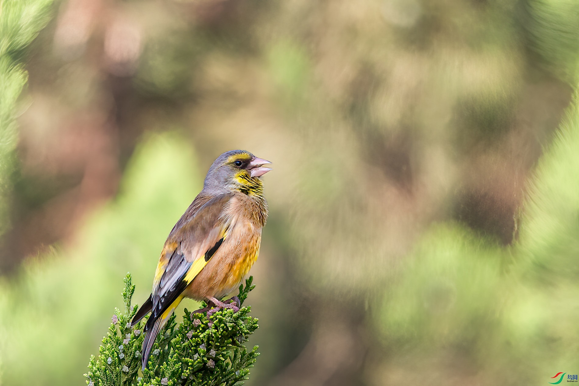AQ4P8909-1.jpg