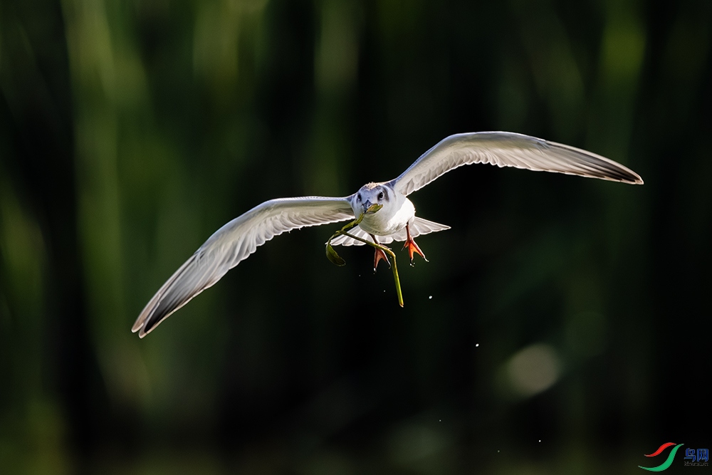 771A6849 ����a.jpg