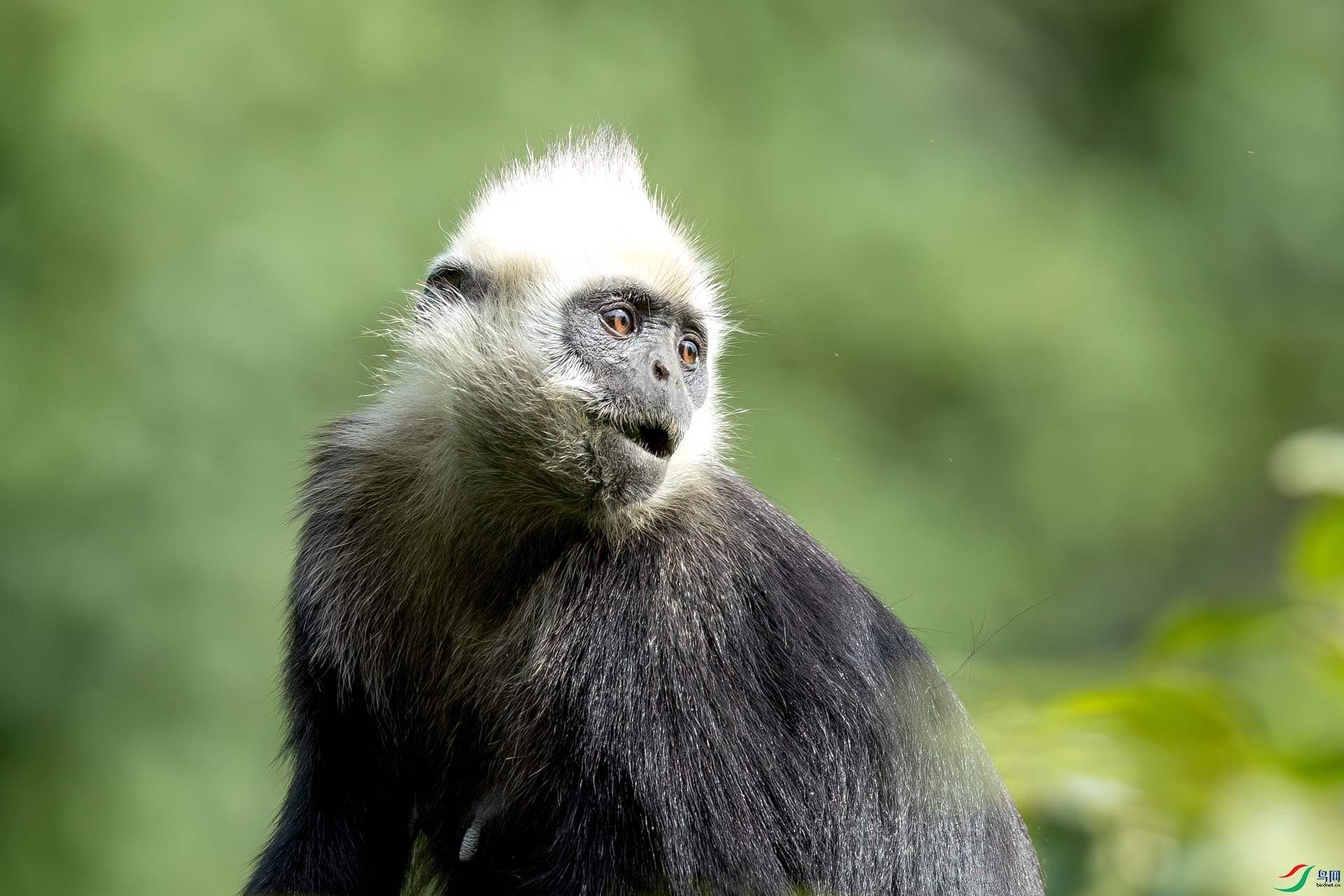 B86I3989 _����.jpg