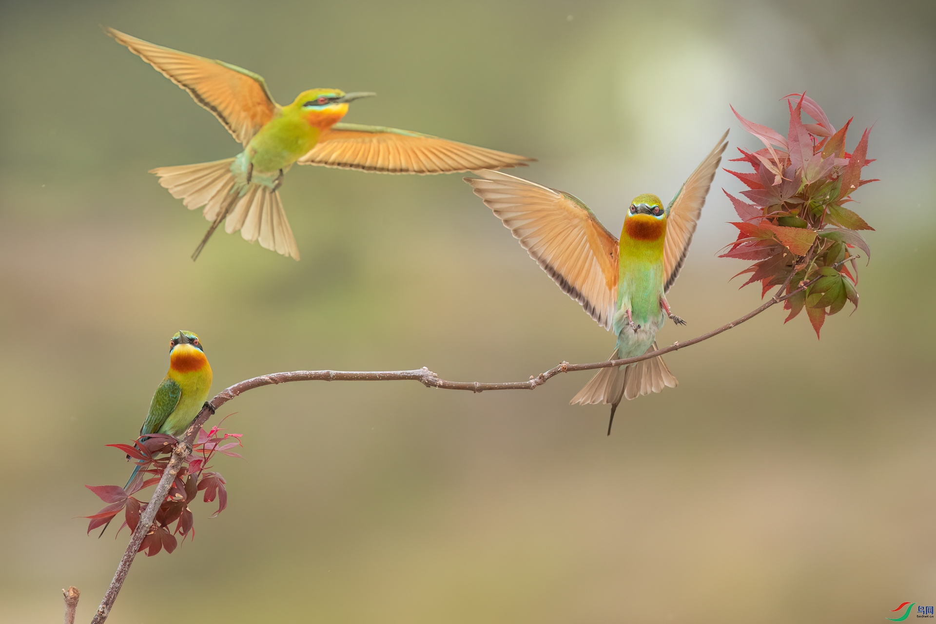 B86I0496 _����.jpg