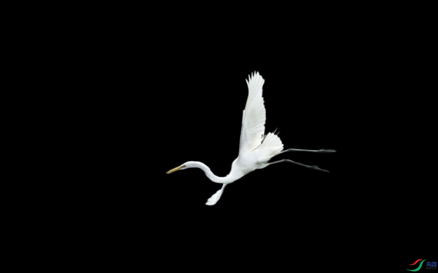 900 (1)_����.jpg