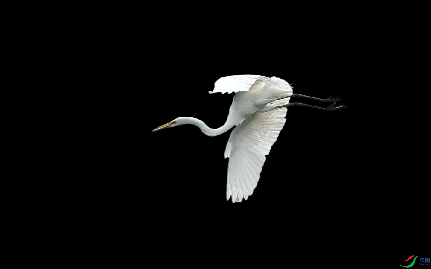 900 (2)_����.jpg