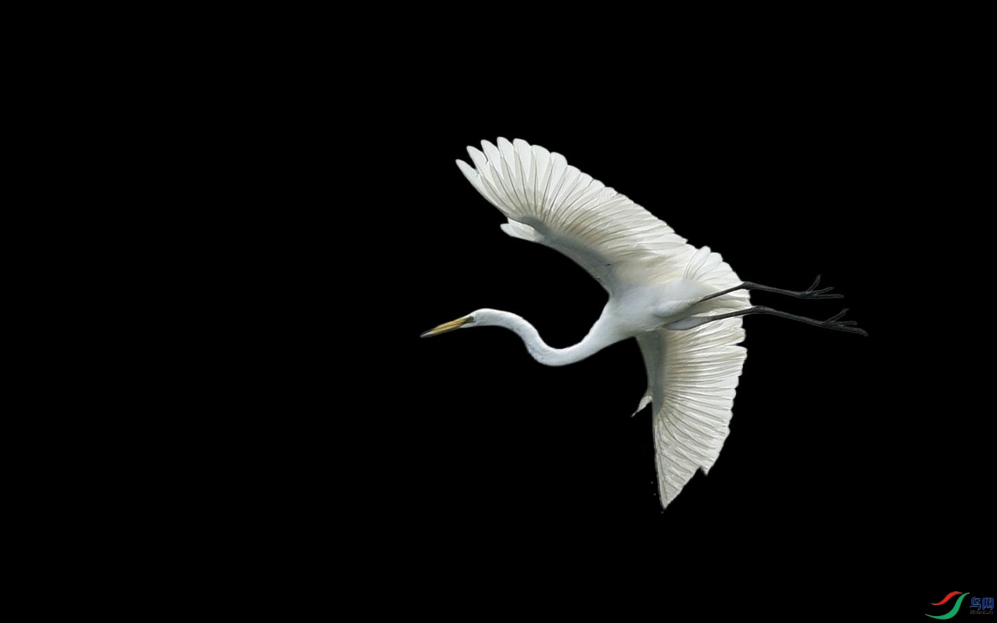 900 (3)_����.jpg