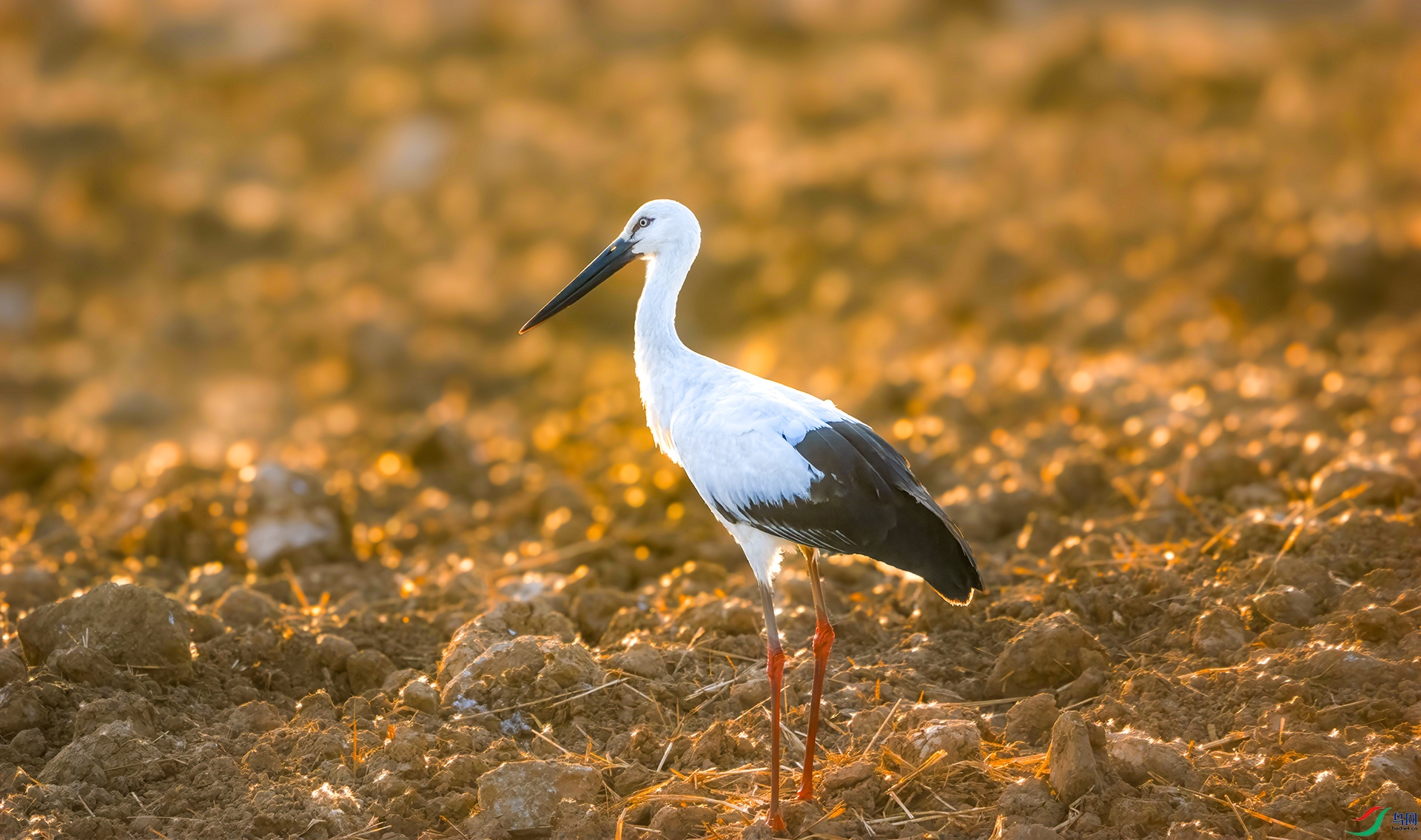 DSC08034 ���� 2.jpg