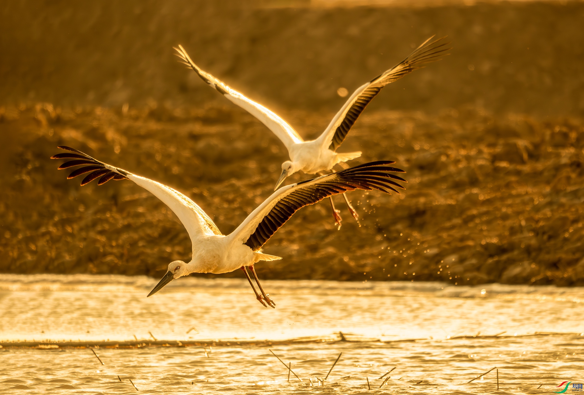 DSC00251-����ǿ-NR ����.jpg