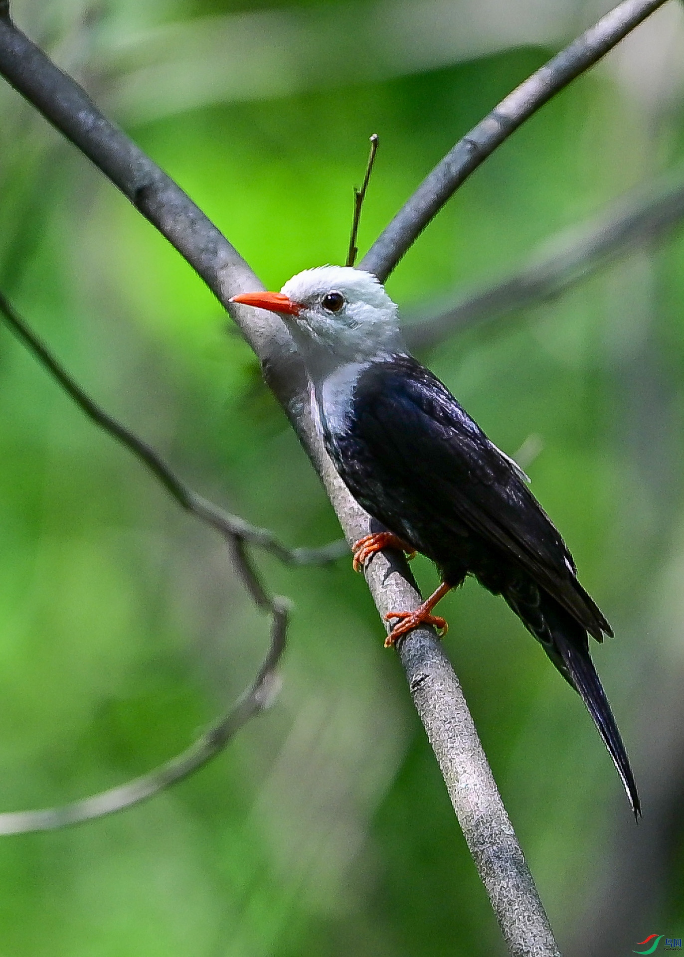 DSC_9559.jpg