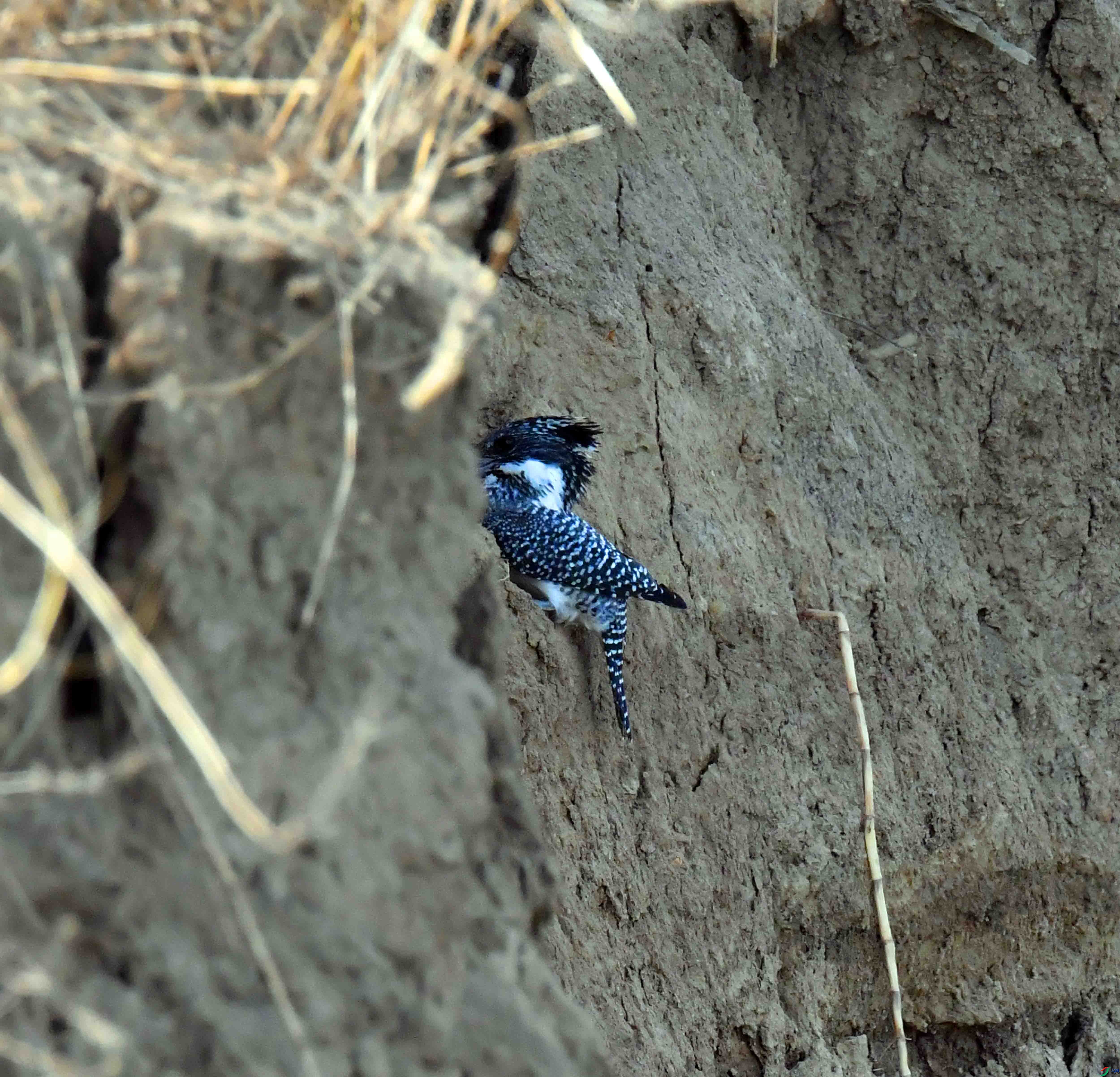 DSC_2070.JPG