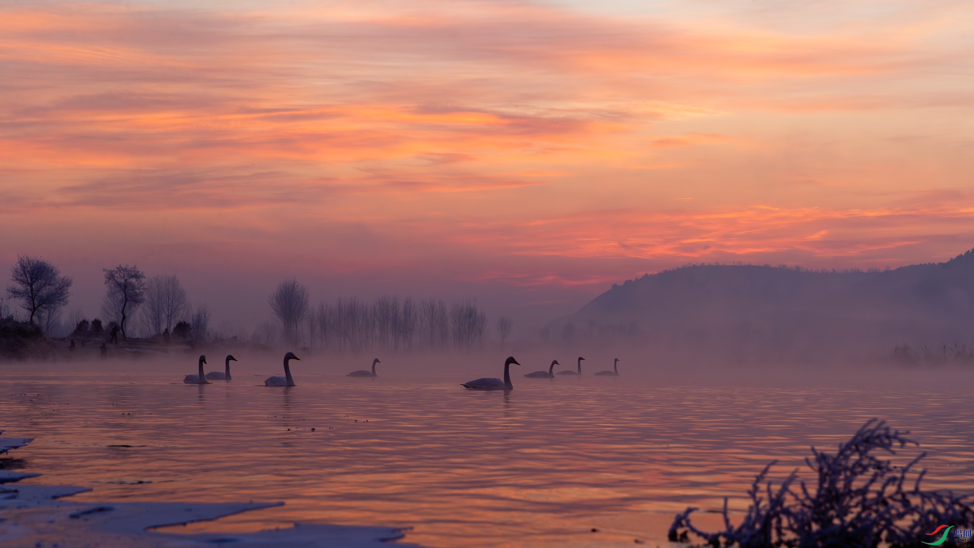A40I2789-1��.jpg