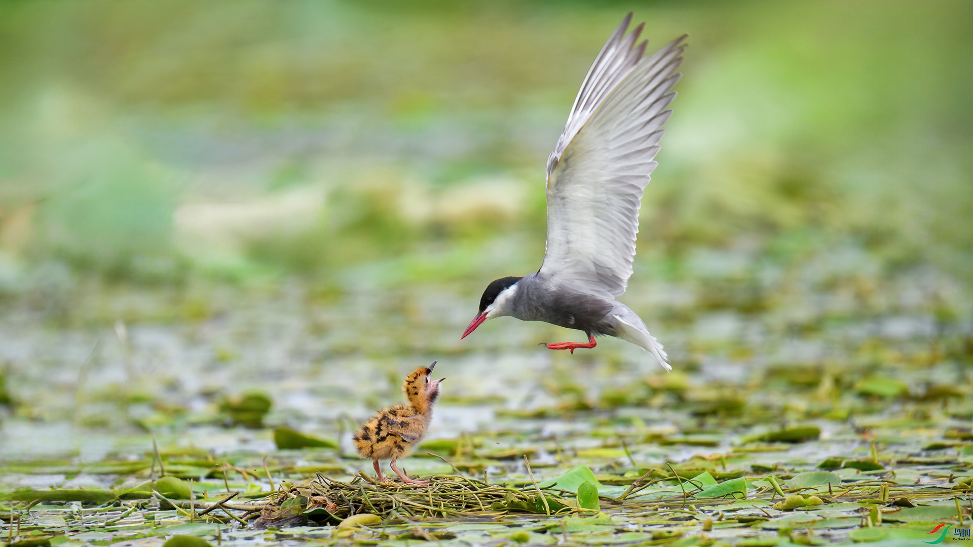 DSC_4829-1-20250725�� 1.jpg