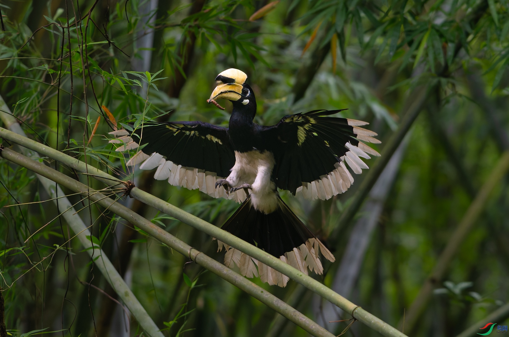 DSC_9039-DxO_DeepPRIME XD2s_XD-2.jpg