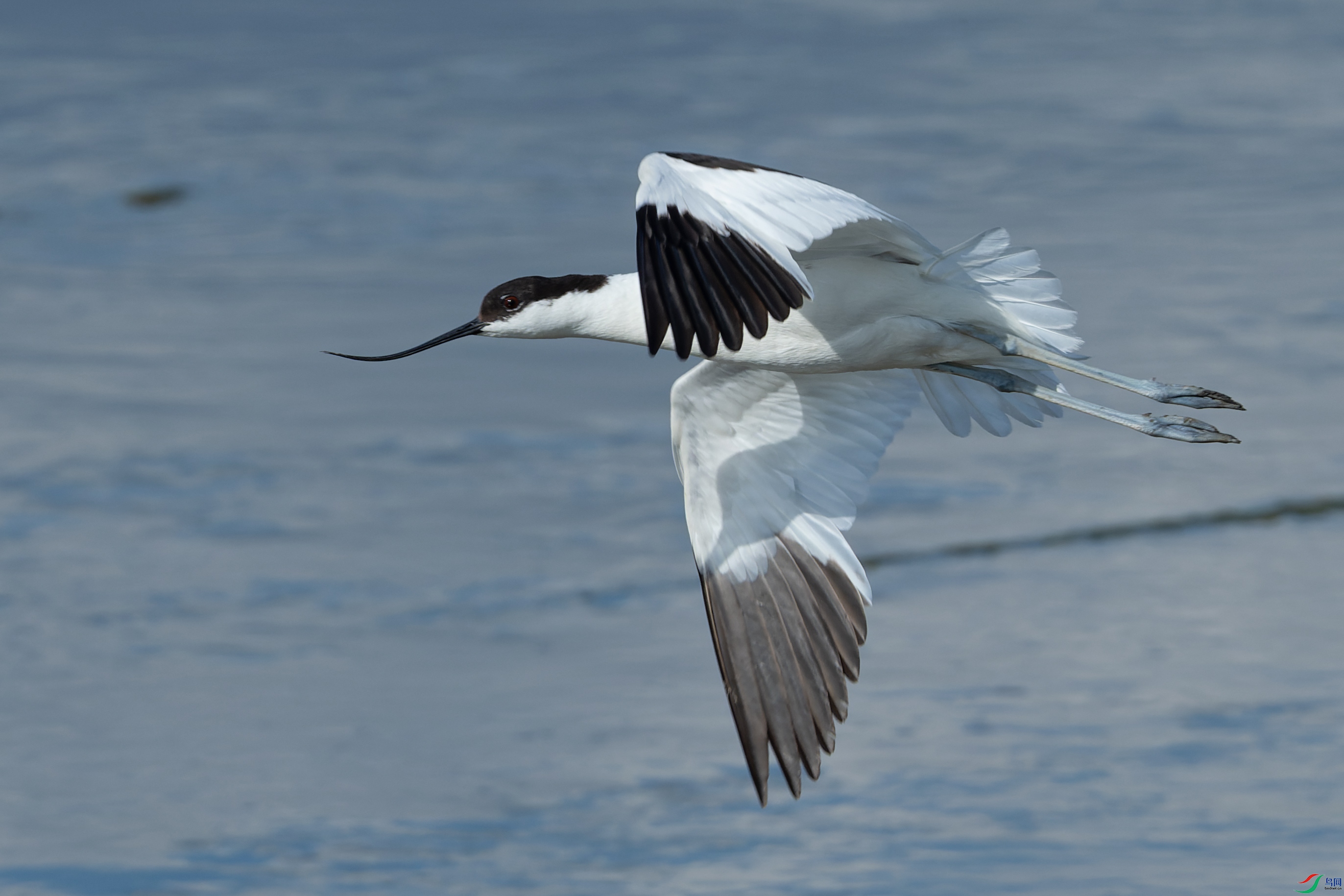DSC_5968.jpg