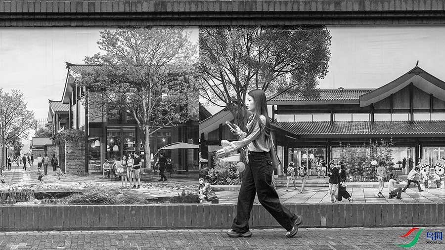 6H7A6249 ����.jpg