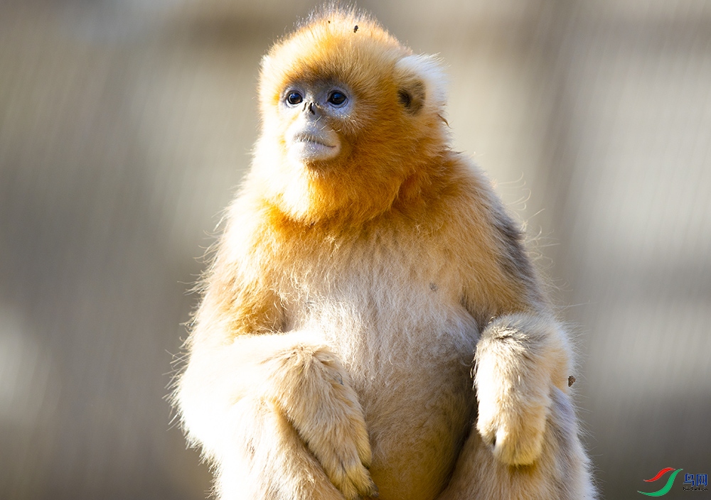 ��˿�� (9).jpg