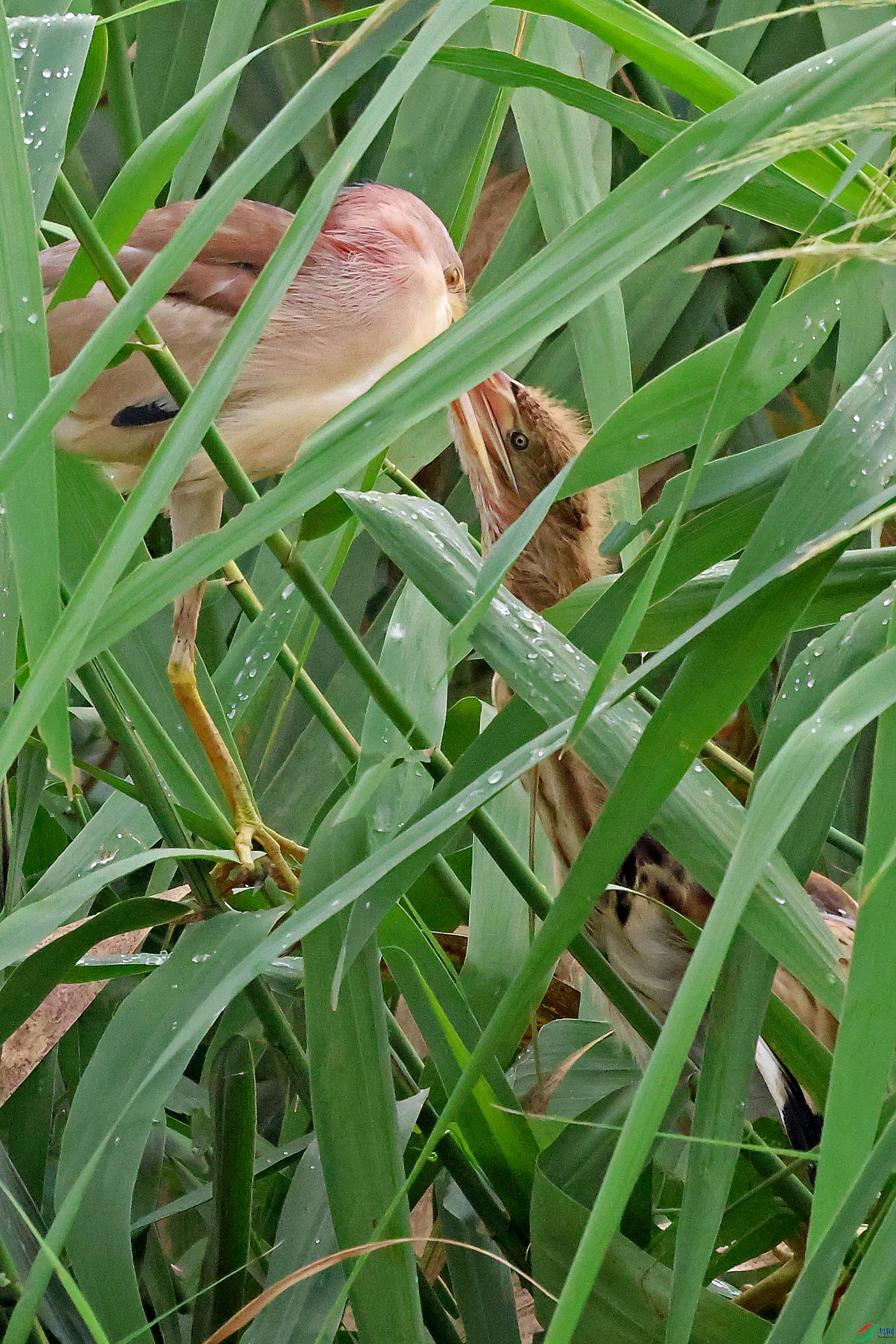 2G9A8517.JPG
