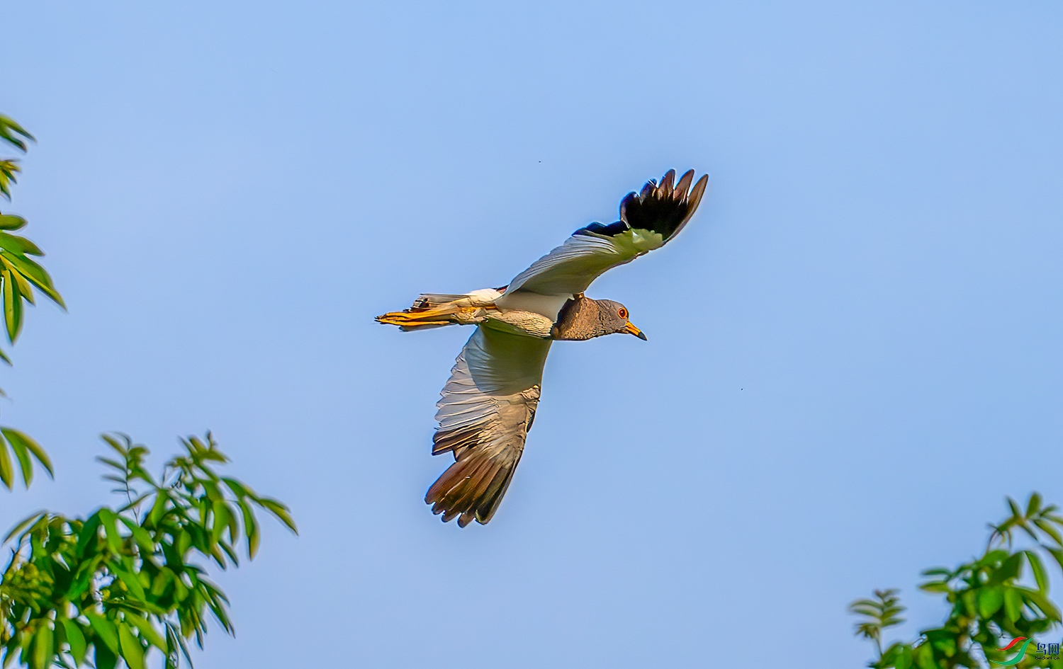 DSC_5076b.jpg