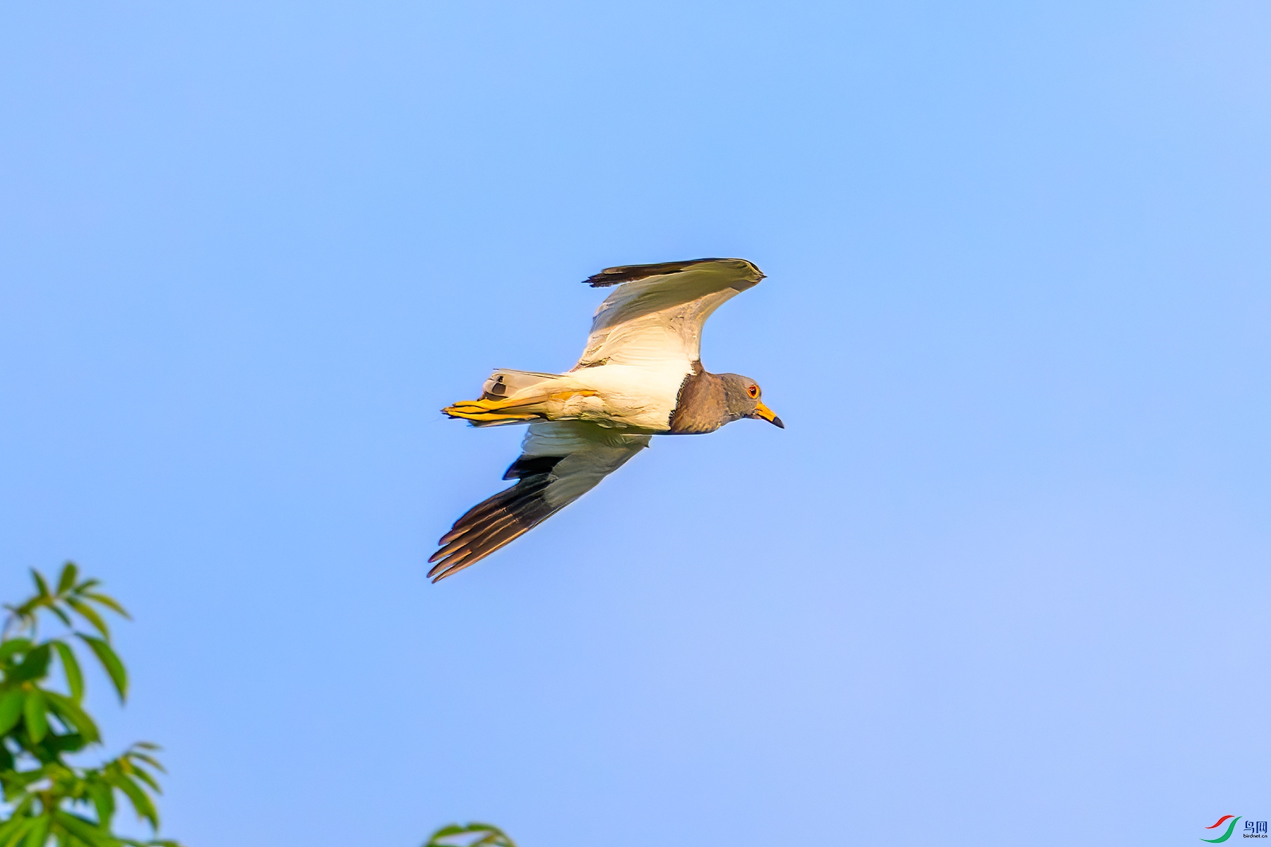 DSC_5078b.jpg