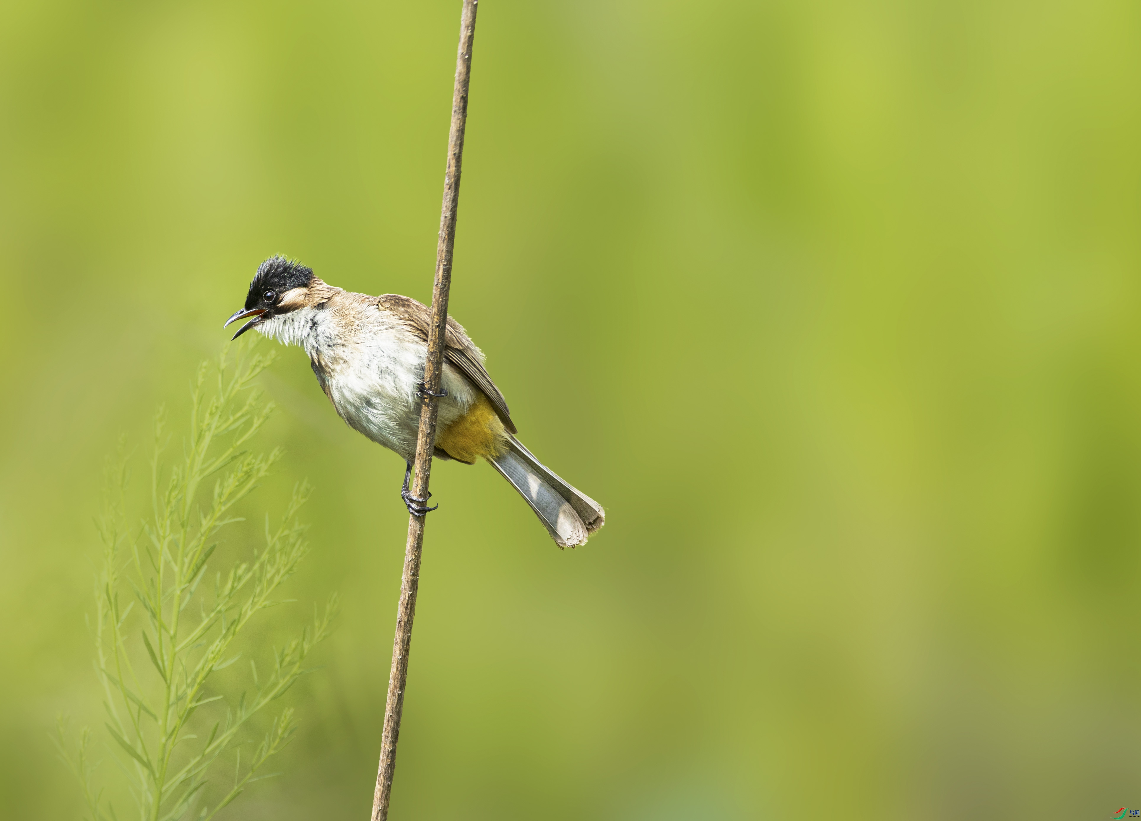 IMGL6560 ����.jpg